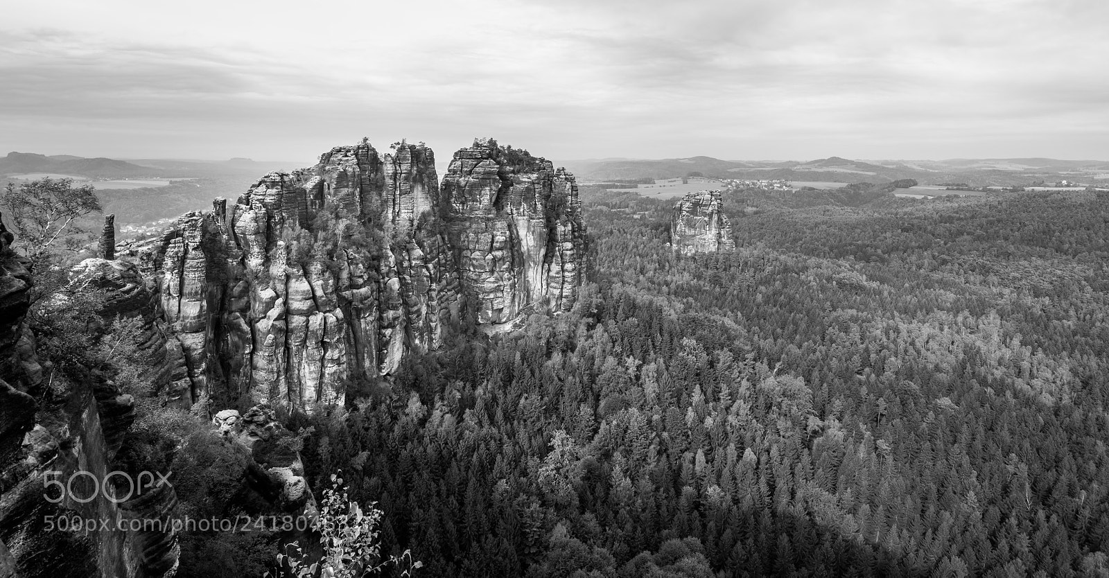 Nikon D850 sample photo. Rocks above the forest photography