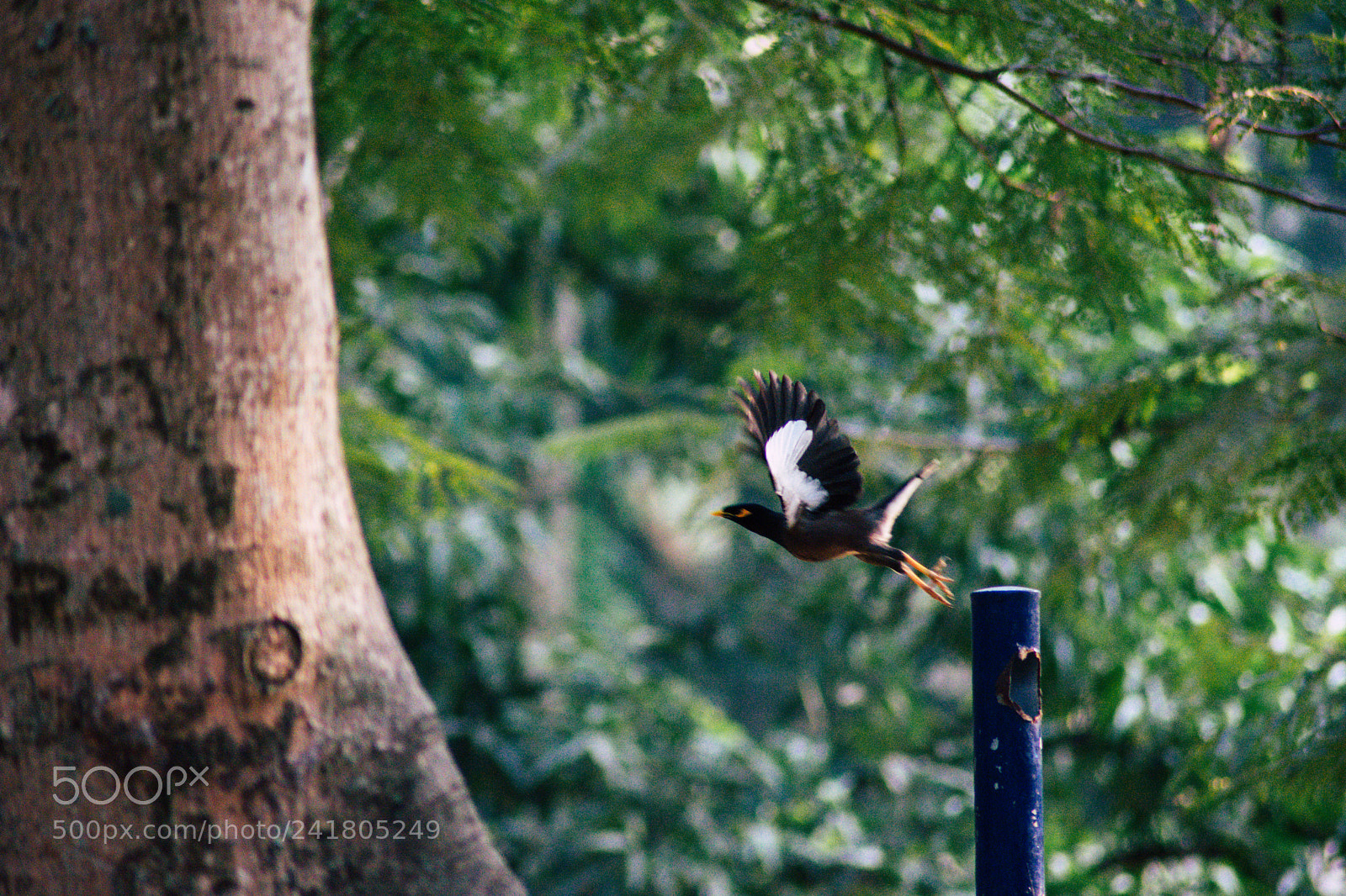 Nikon D3400 sample photo. Timing photography