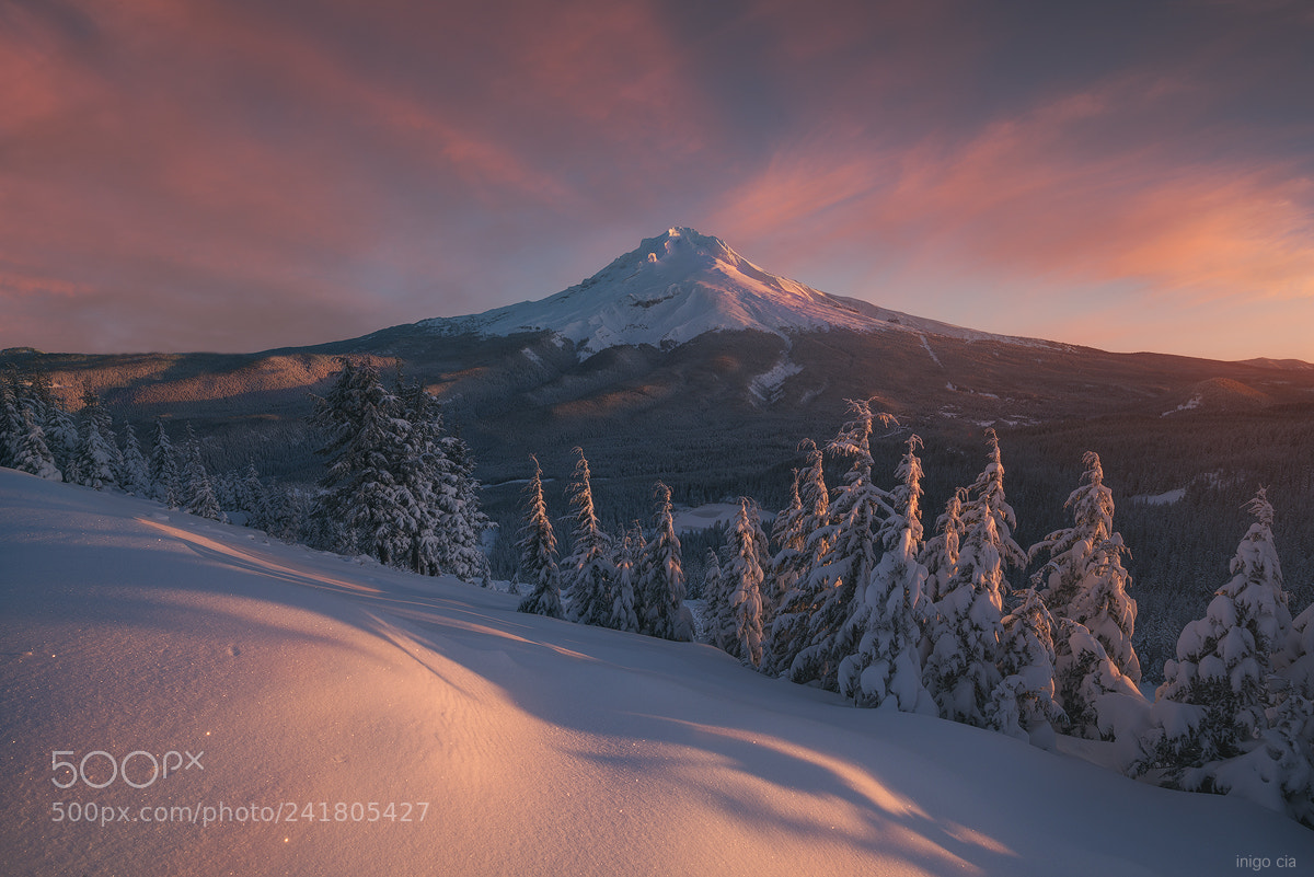 Nikon D800 sample photo. Mount hood photography