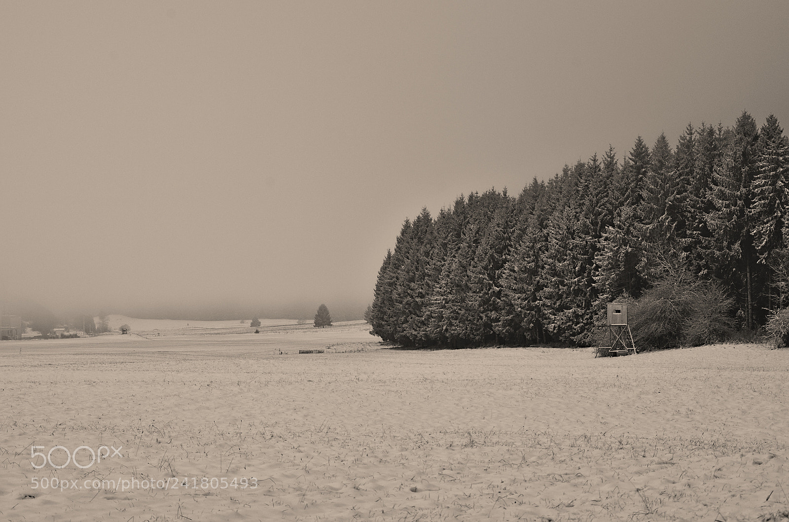 Pentax K-30 sample photo. New snow photography