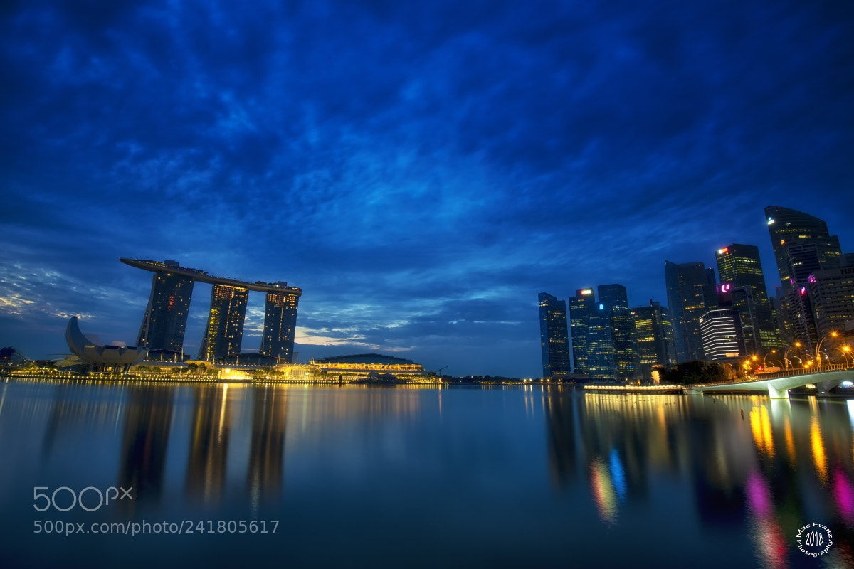 Nikon D850 sample photo. The blue esplanade photography
