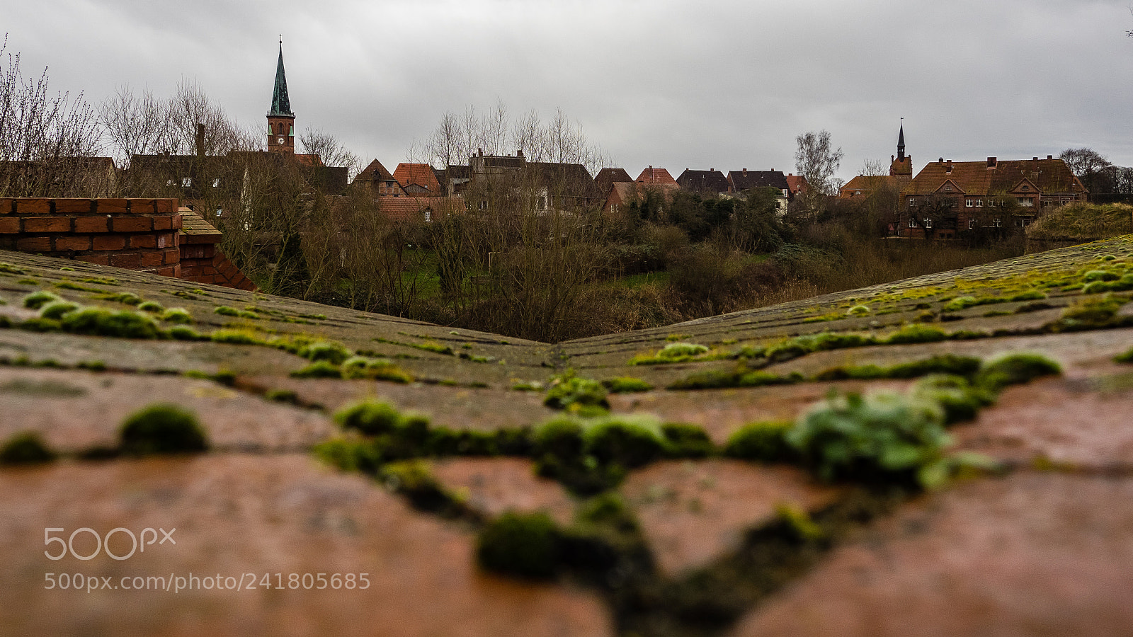 Olympus OM-D E-M1 sample photo. Dömitz brick castle 2 photography
