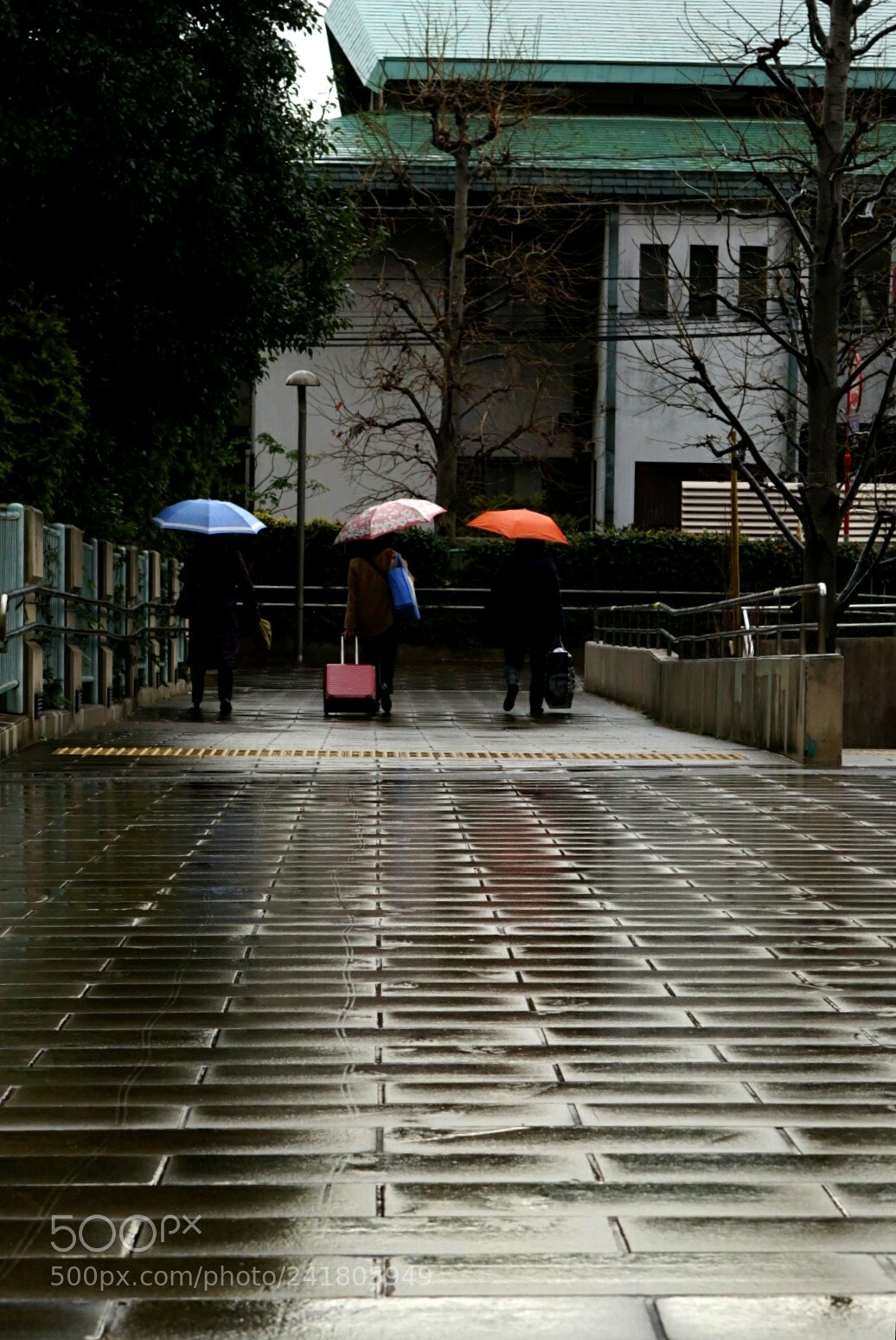 Sony a7 II sample photo. 3 woman photography