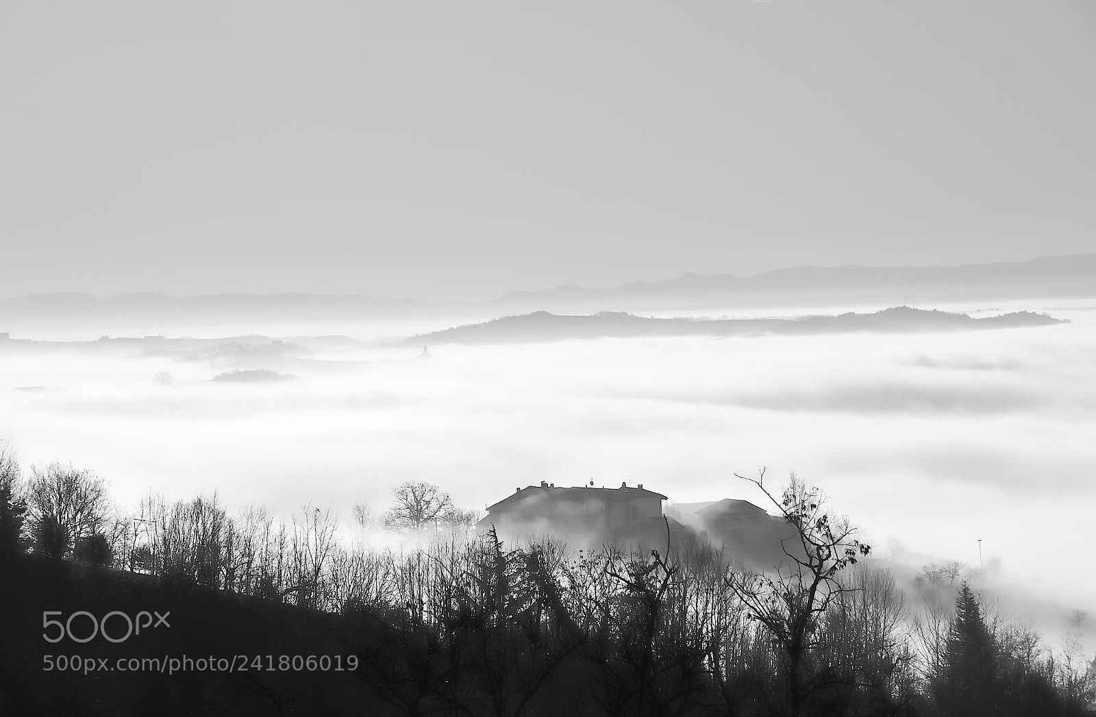 Nikon D600 sample photo. Moncalvo in the fog photography