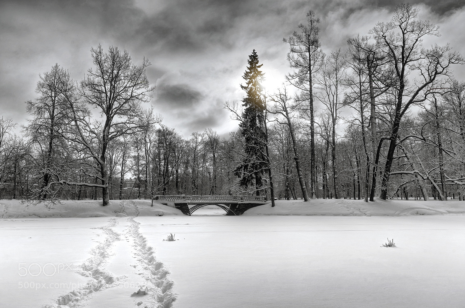 Pentax K-5 sample photo. Snowy winter.. _8_ photography