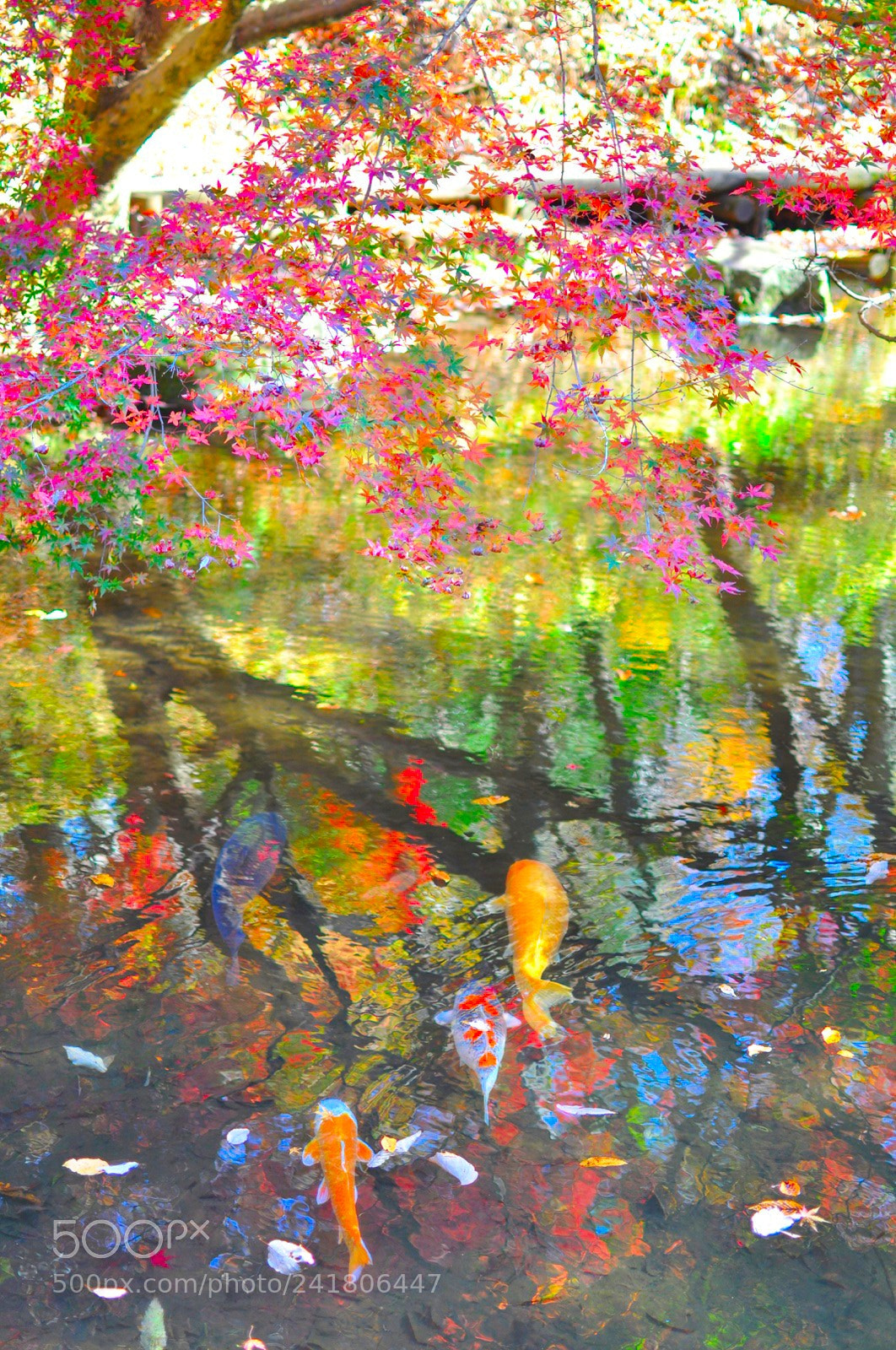 Nikon D90 sample photo. Untitled photography