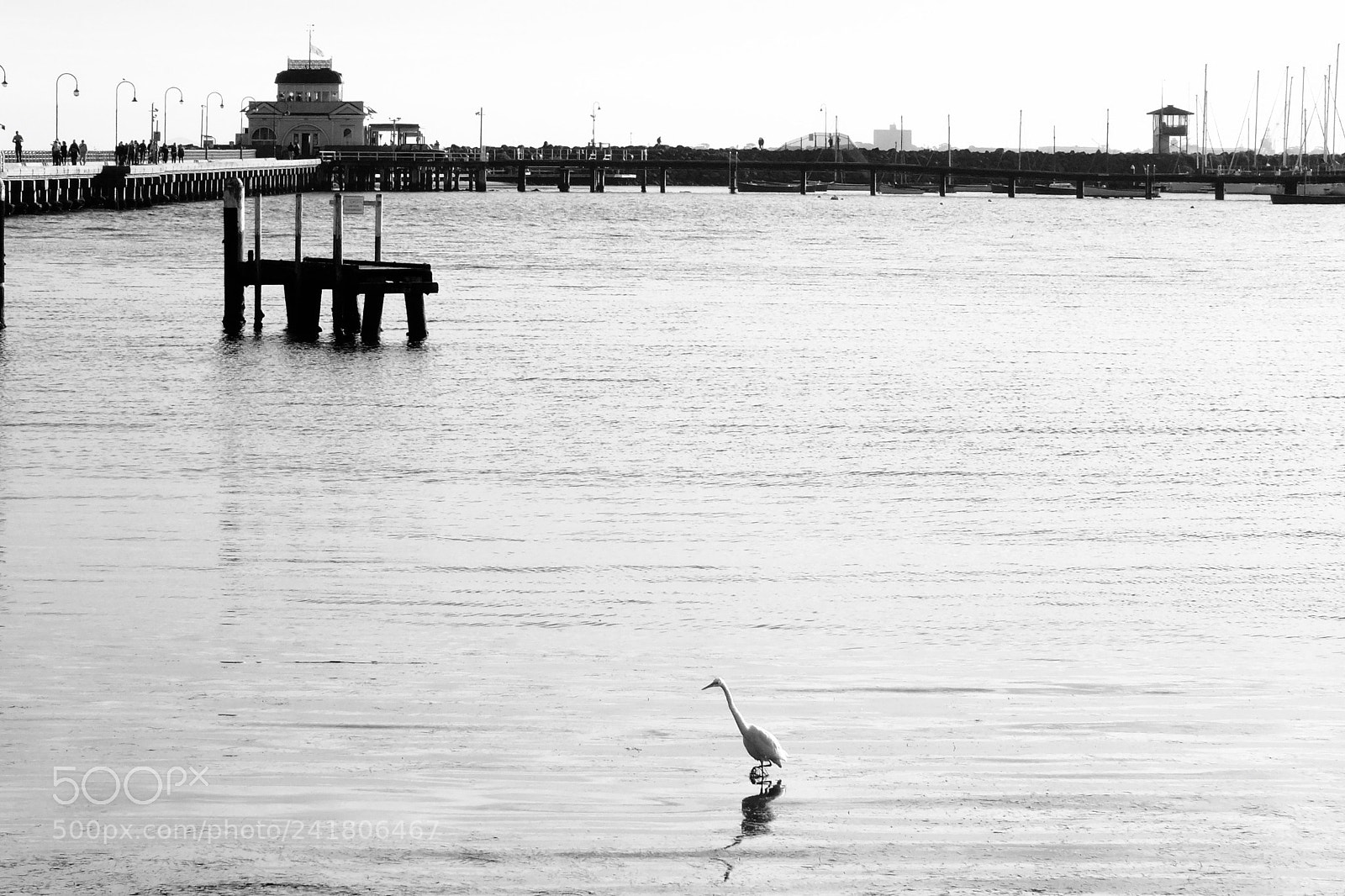 FujiFilm FinePix HS20 EXR (FinePix HS22 EXR) sample photo. St. kilda pier photography