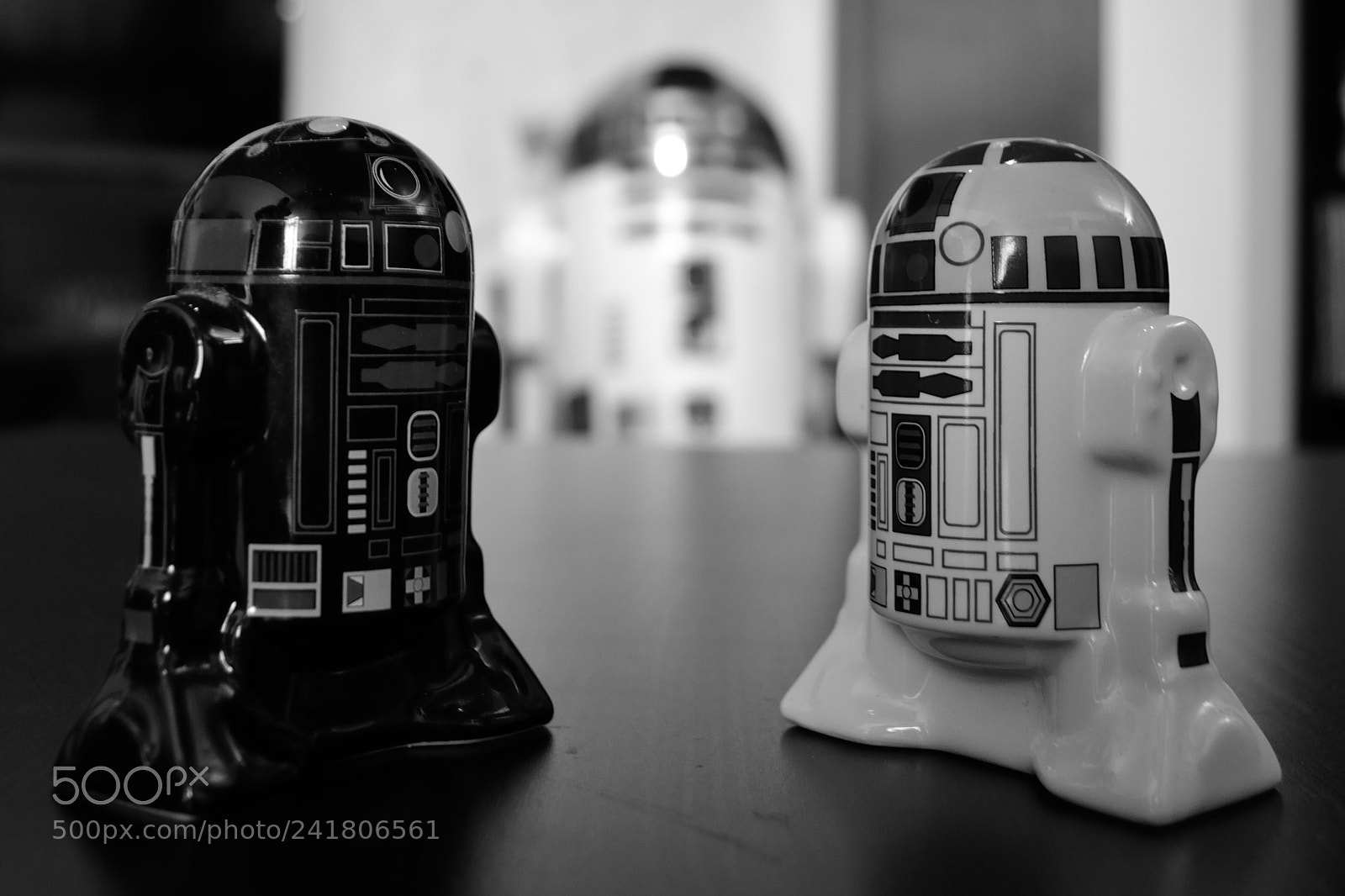 Nikon D3100 sample photo. Black & white photography