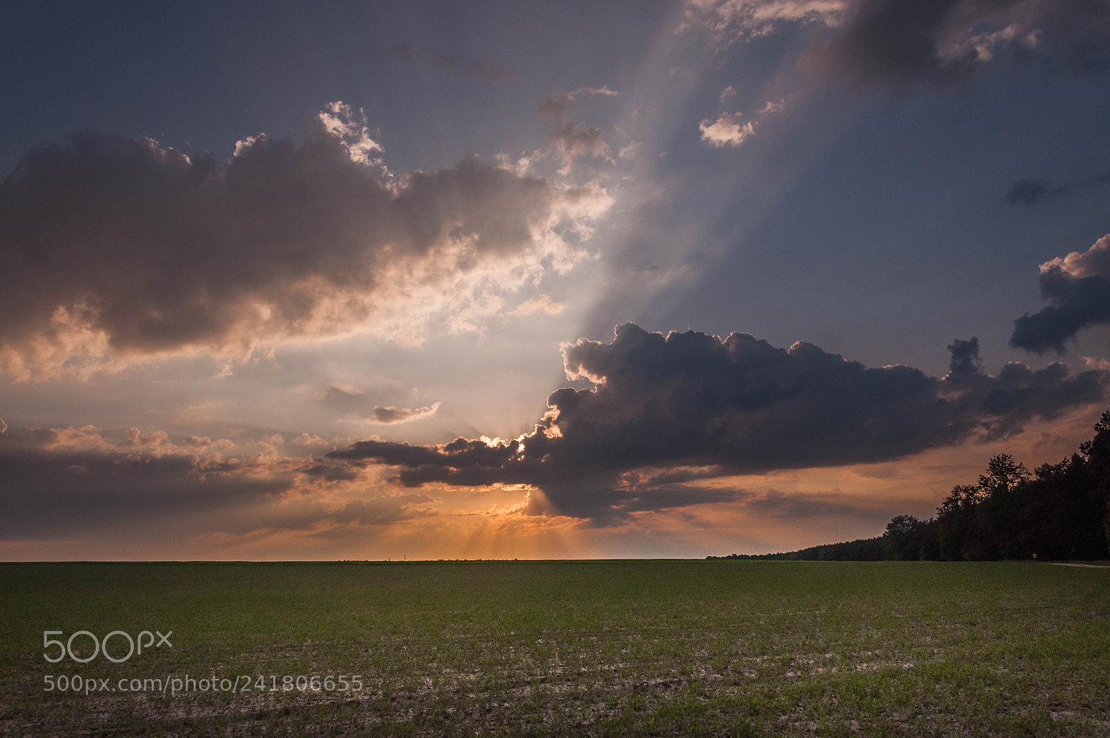 Nikon D90 sample photo. Sunset photography