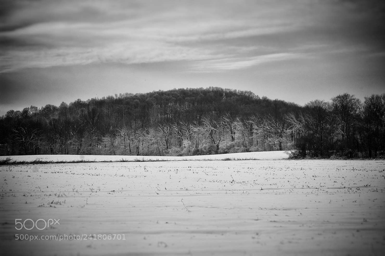 Nikon D40 sample photo. Cold grey morning photography