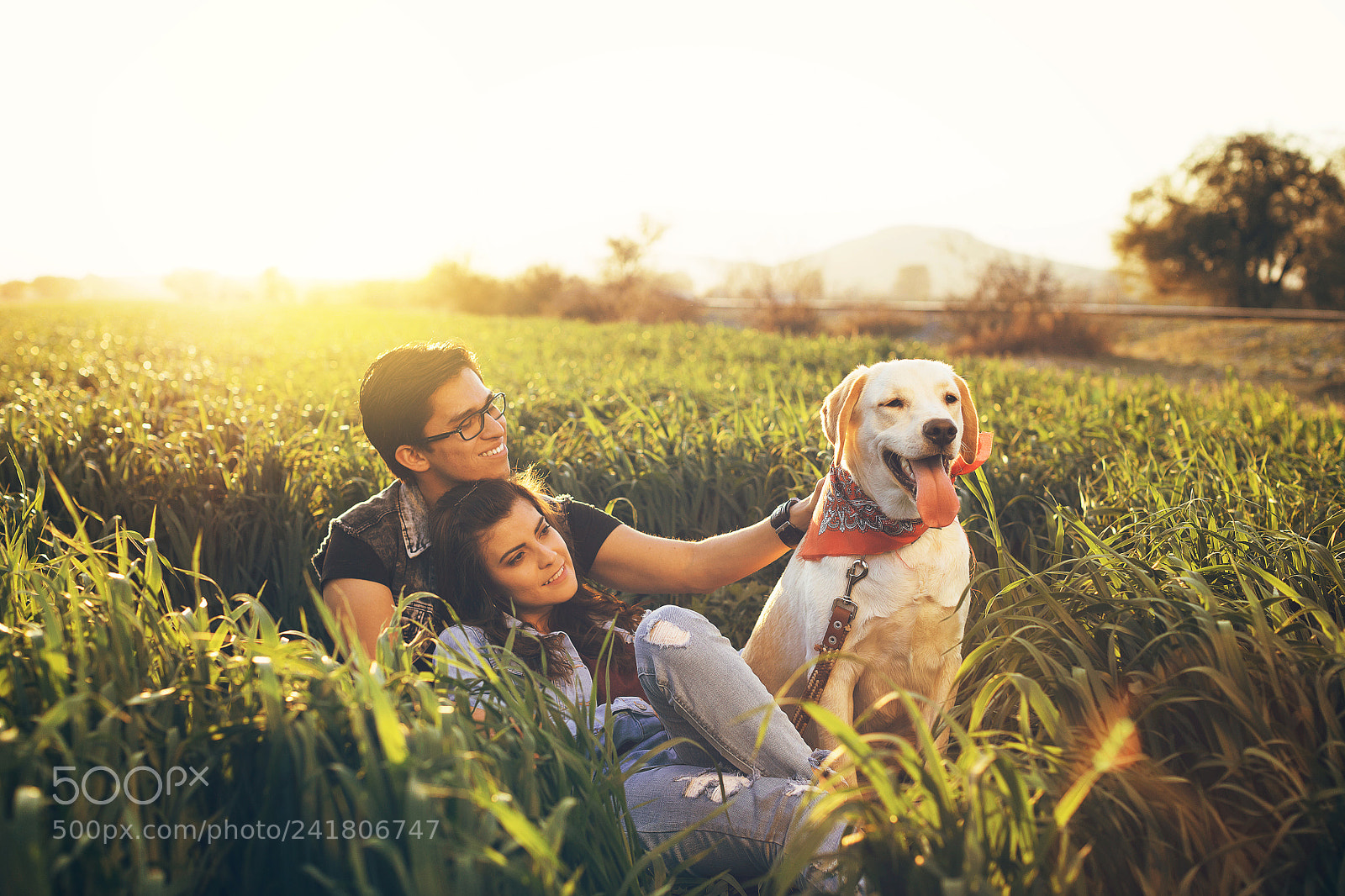 Canon EOS 5DS R sample photo. Good boy photography