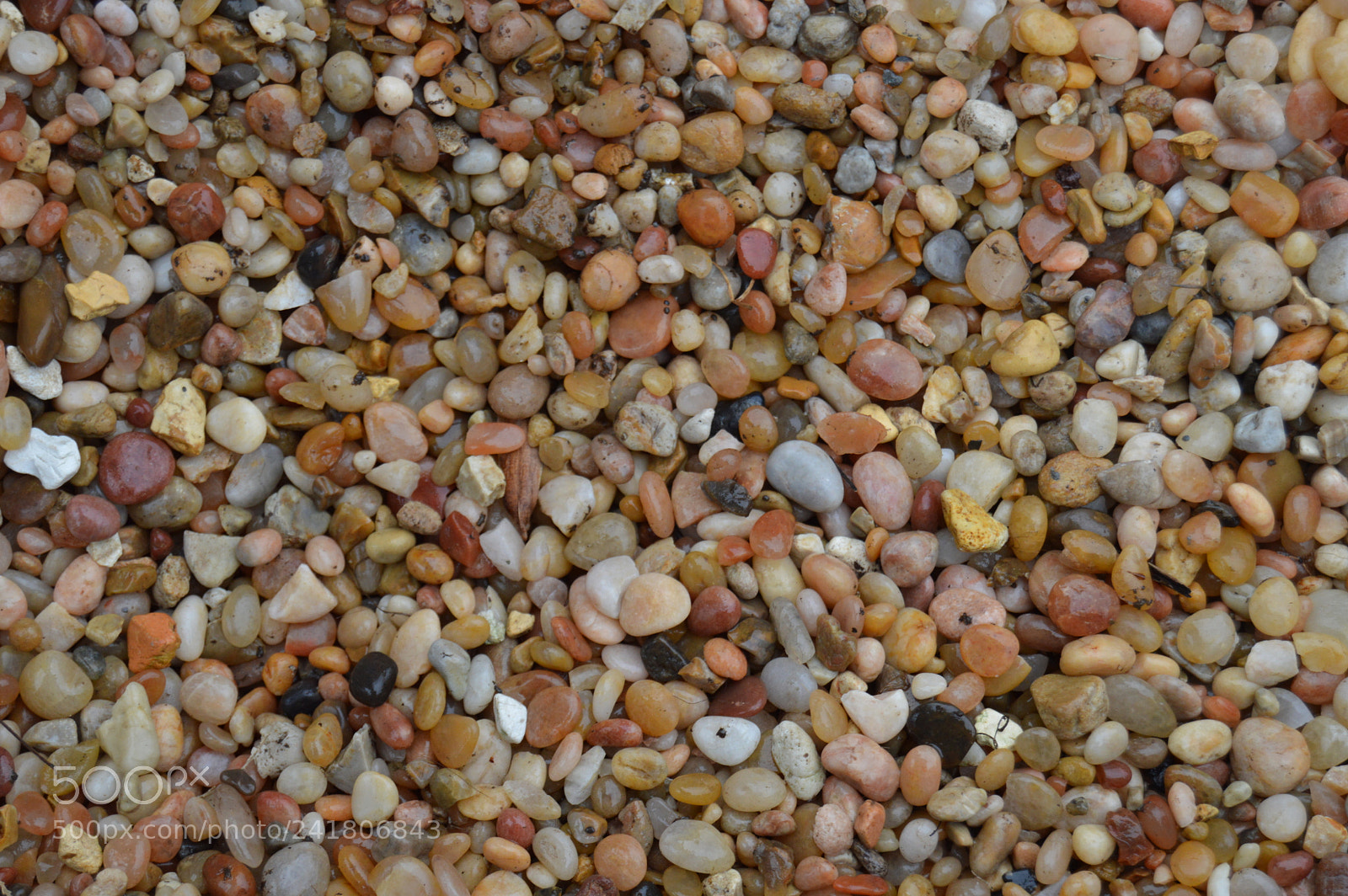 Nikon D3200 sample photo. Dsc photography
