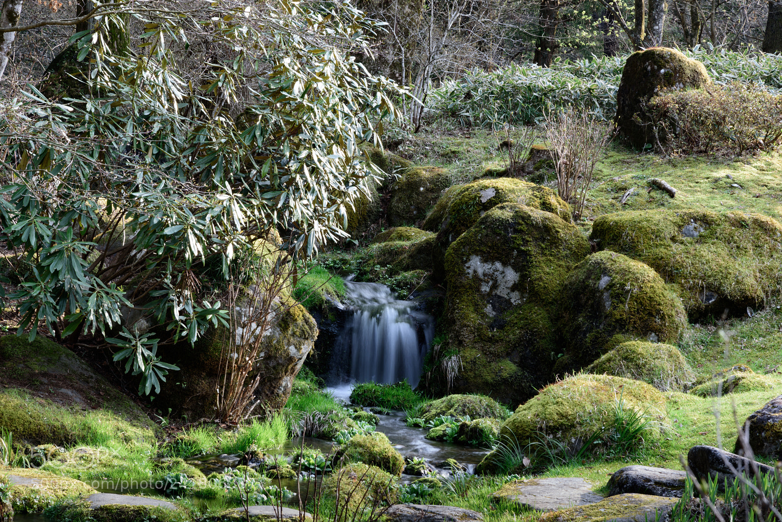 Nikon D750 sample photo. Nikko imperial villa gardens photography