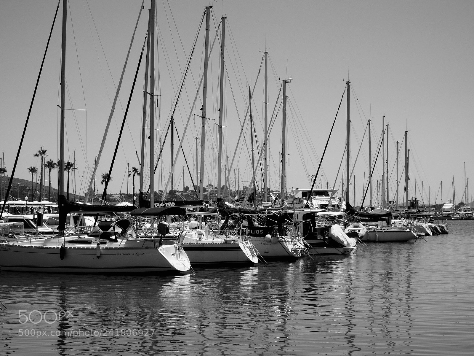 Fujifilm FinePix SL1000 sample photo. Marina photography