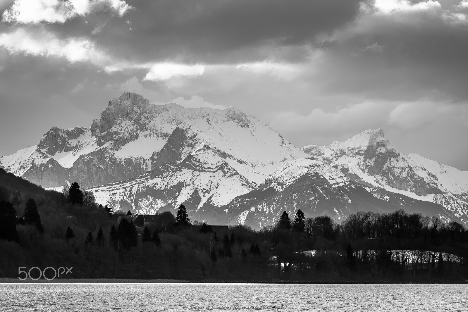 Nikon D7100 sample photo. Obiou noir et blanc photography