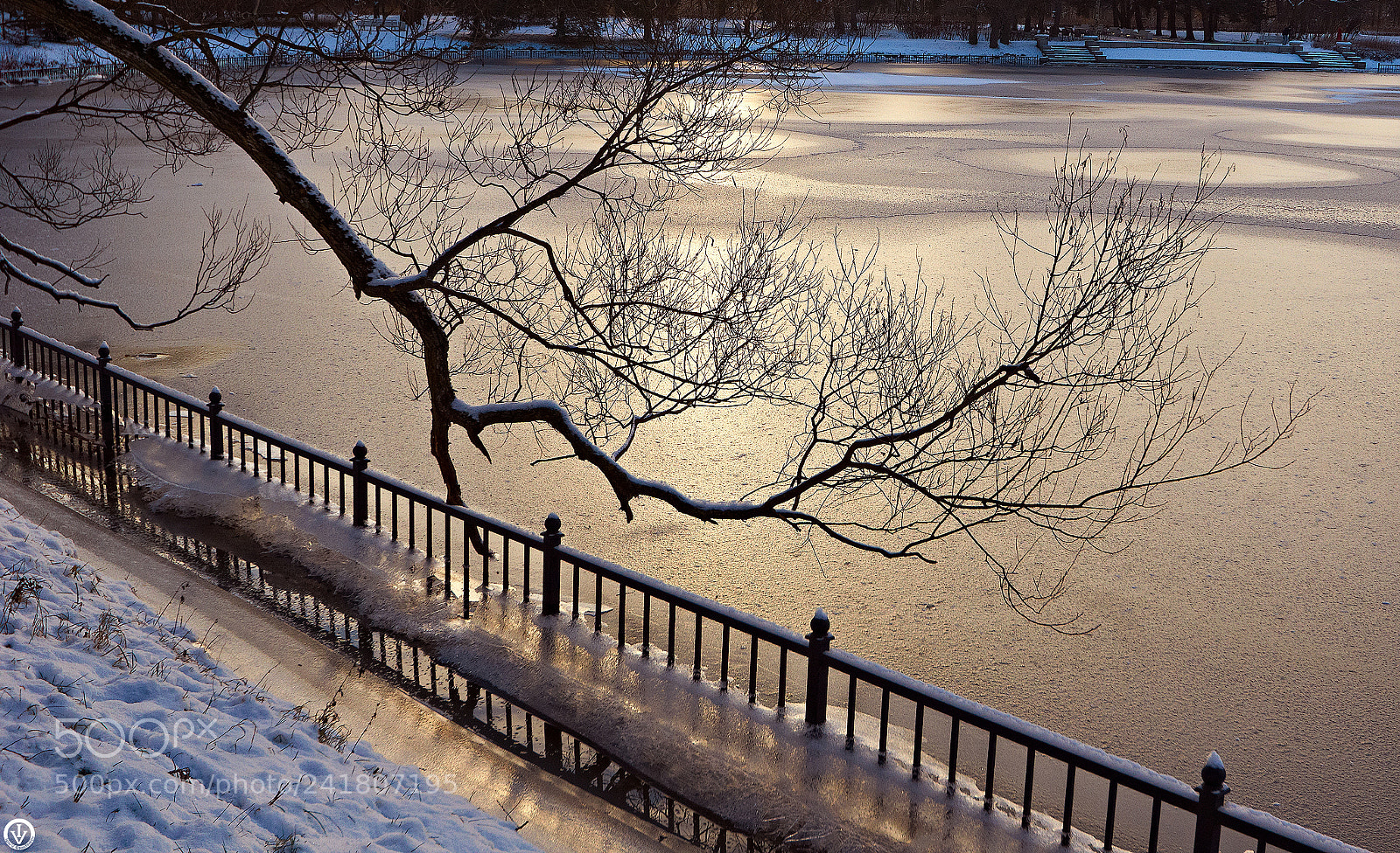 Sony SLT-A65 (SLT-A65V) sample photo. Frozen pond photography