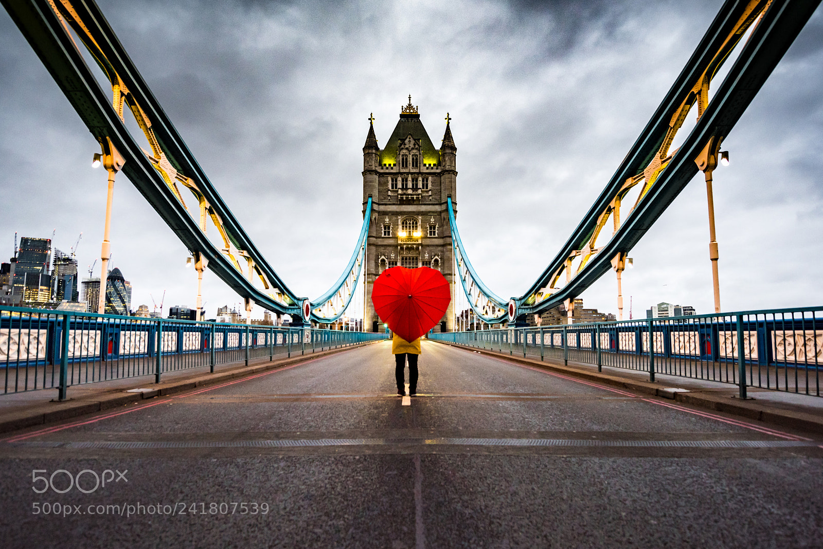 Nikon D810 sample photo. The power of love photography