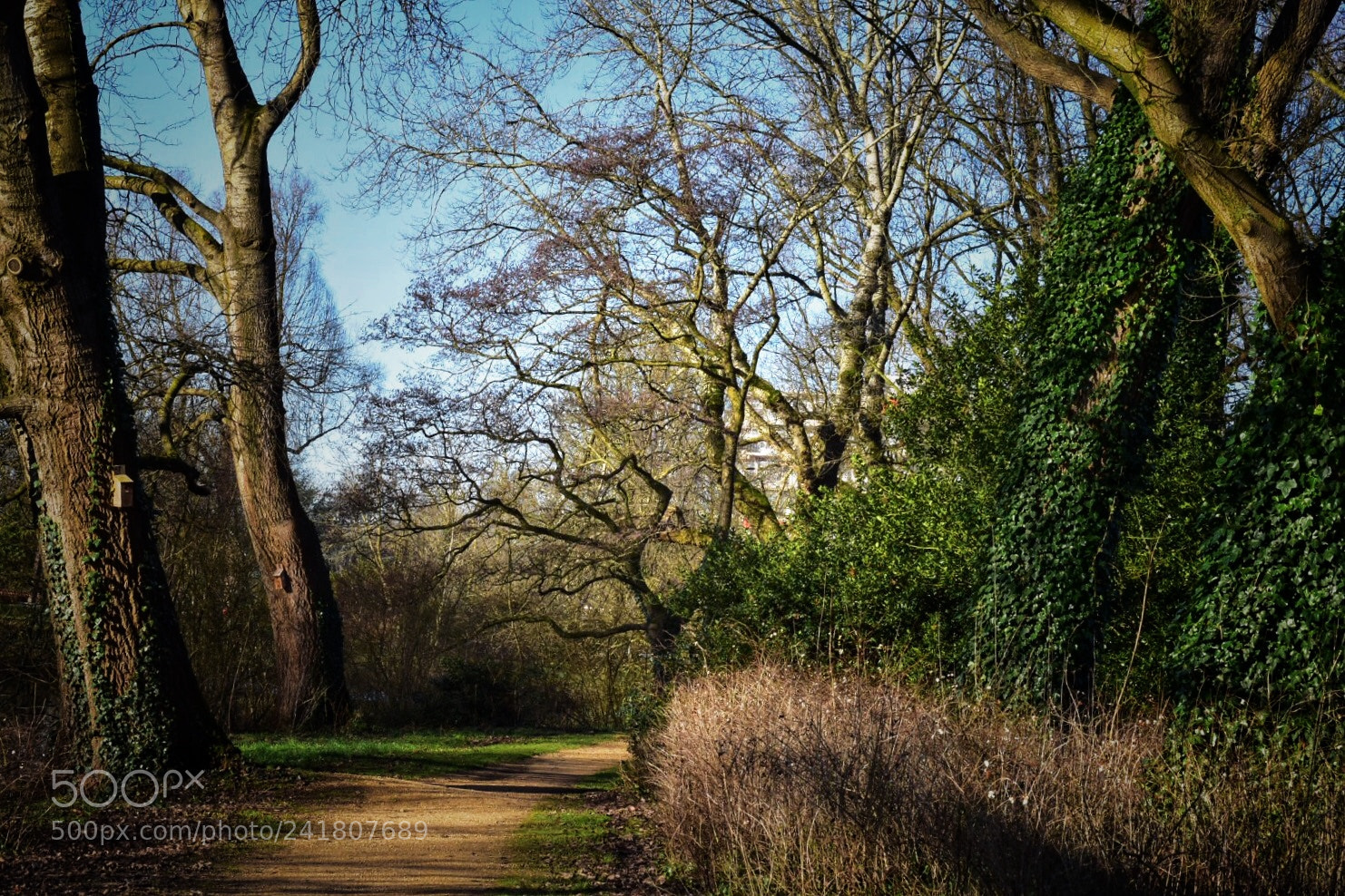 Nikon D5500 sample photo. Untitled photography