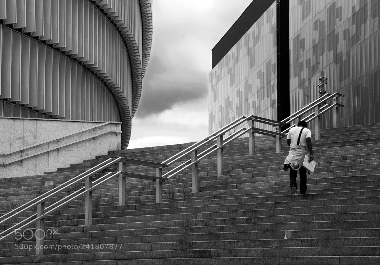 Nikon D800 sample photo. Curves and lines. photography