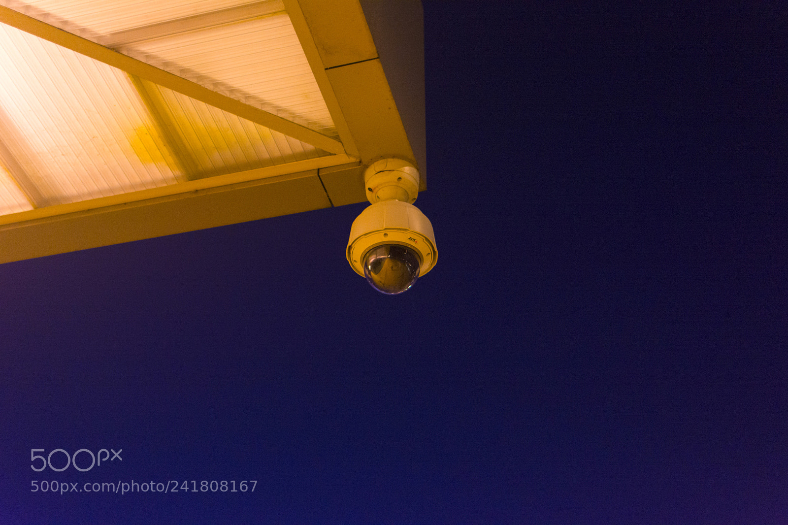 Nikon D7100 sample photo. Camera photography