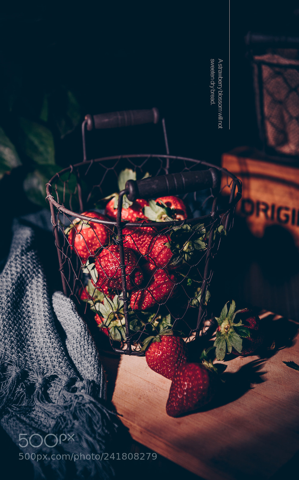 Nikon D810 sample photo. Untitled photography