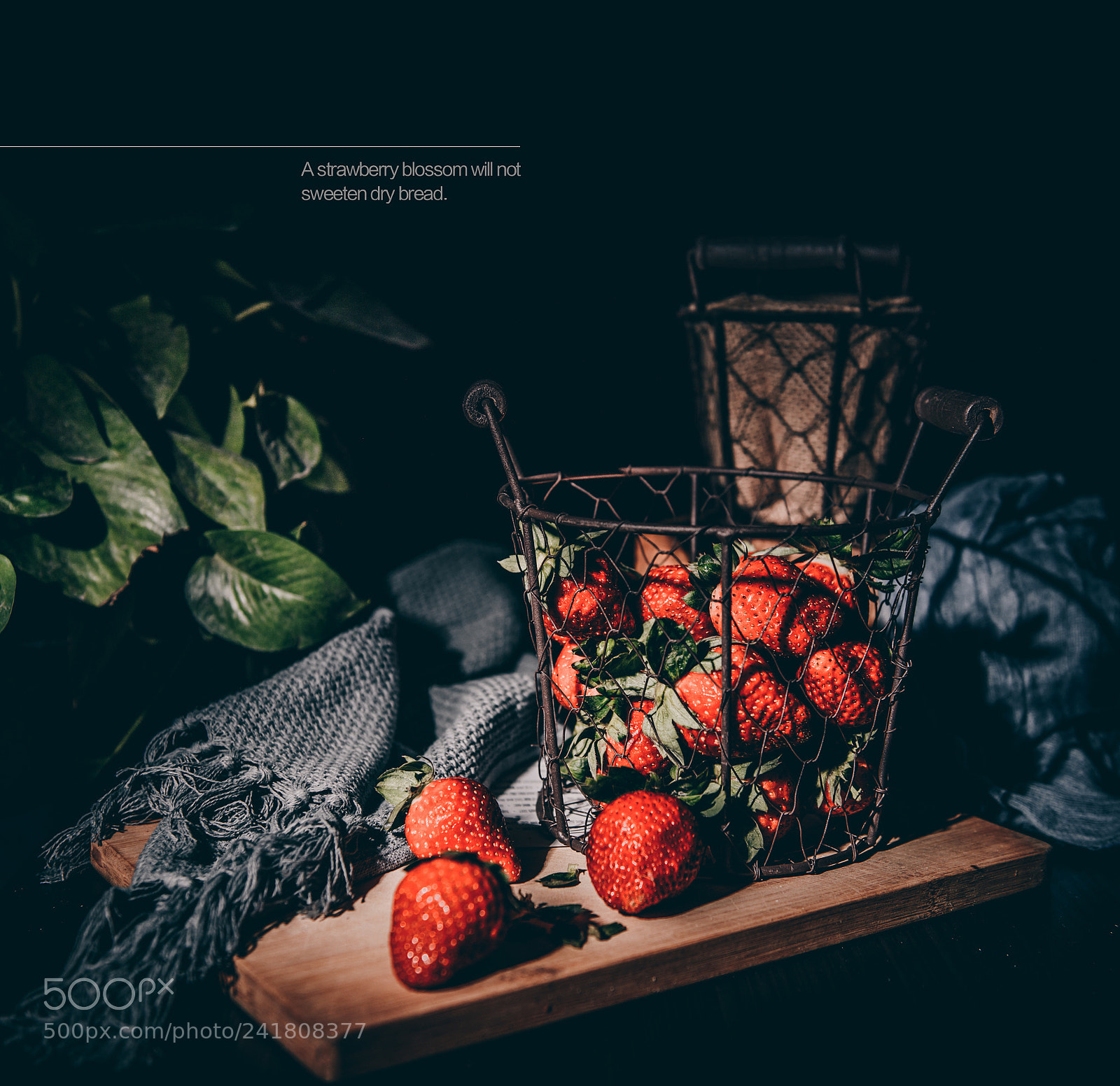 Nikon D810 sample photo. Untitled photography