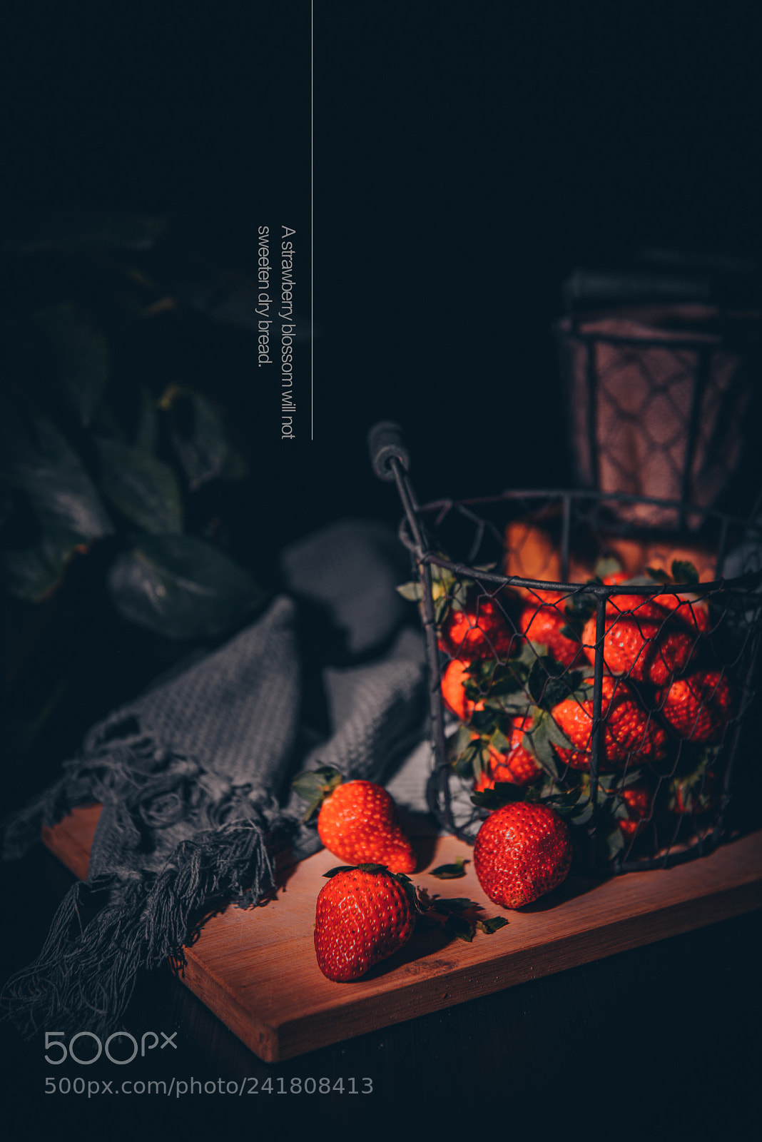 Nikon D810 sample photo. Untitled photography