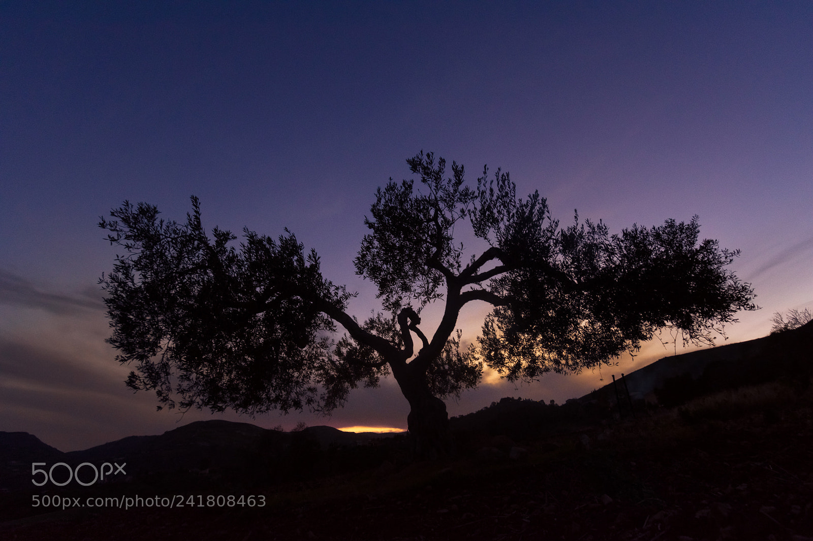 Nikon D7200 sample photo. Scopello, sicily photography