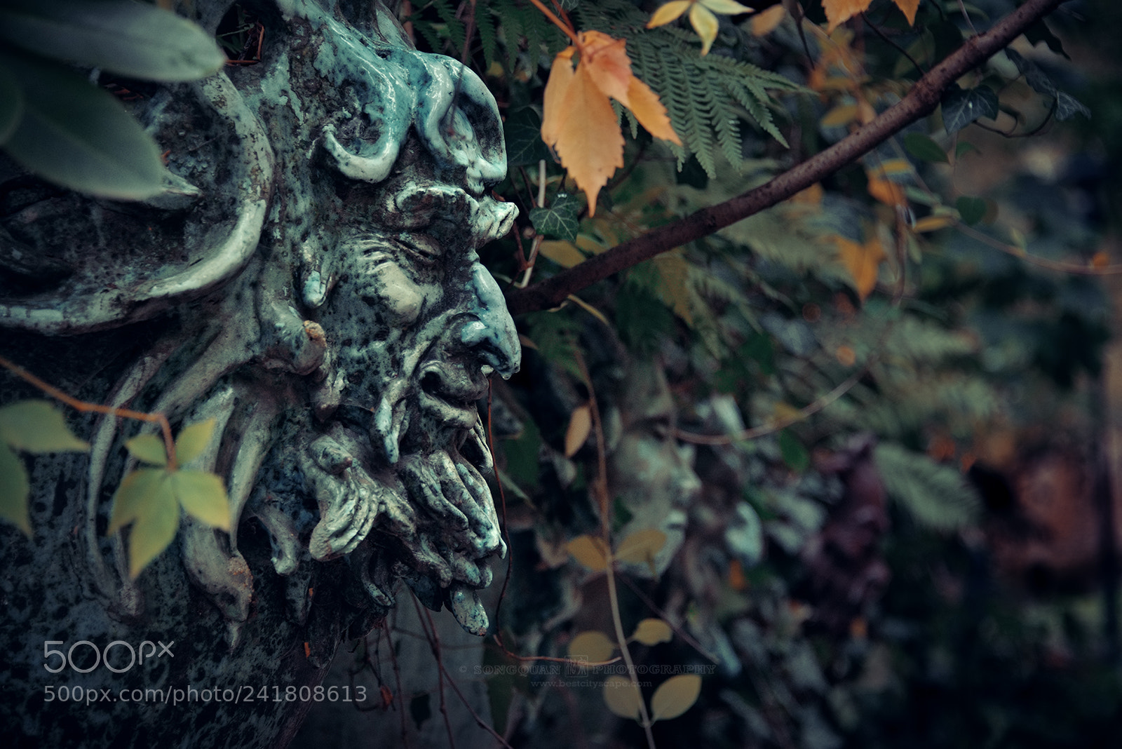 Nikon D800 sample photo. Spirit in woods, prague photography
