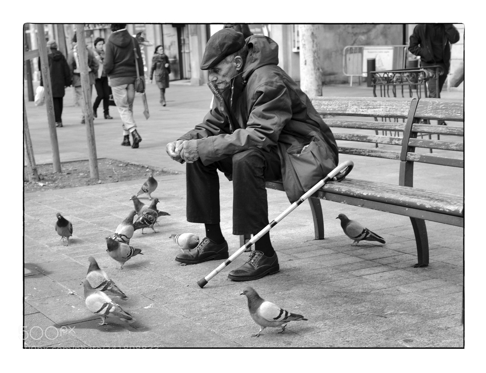Fujifilm X100F sample photo. Compagnons de solitude photography