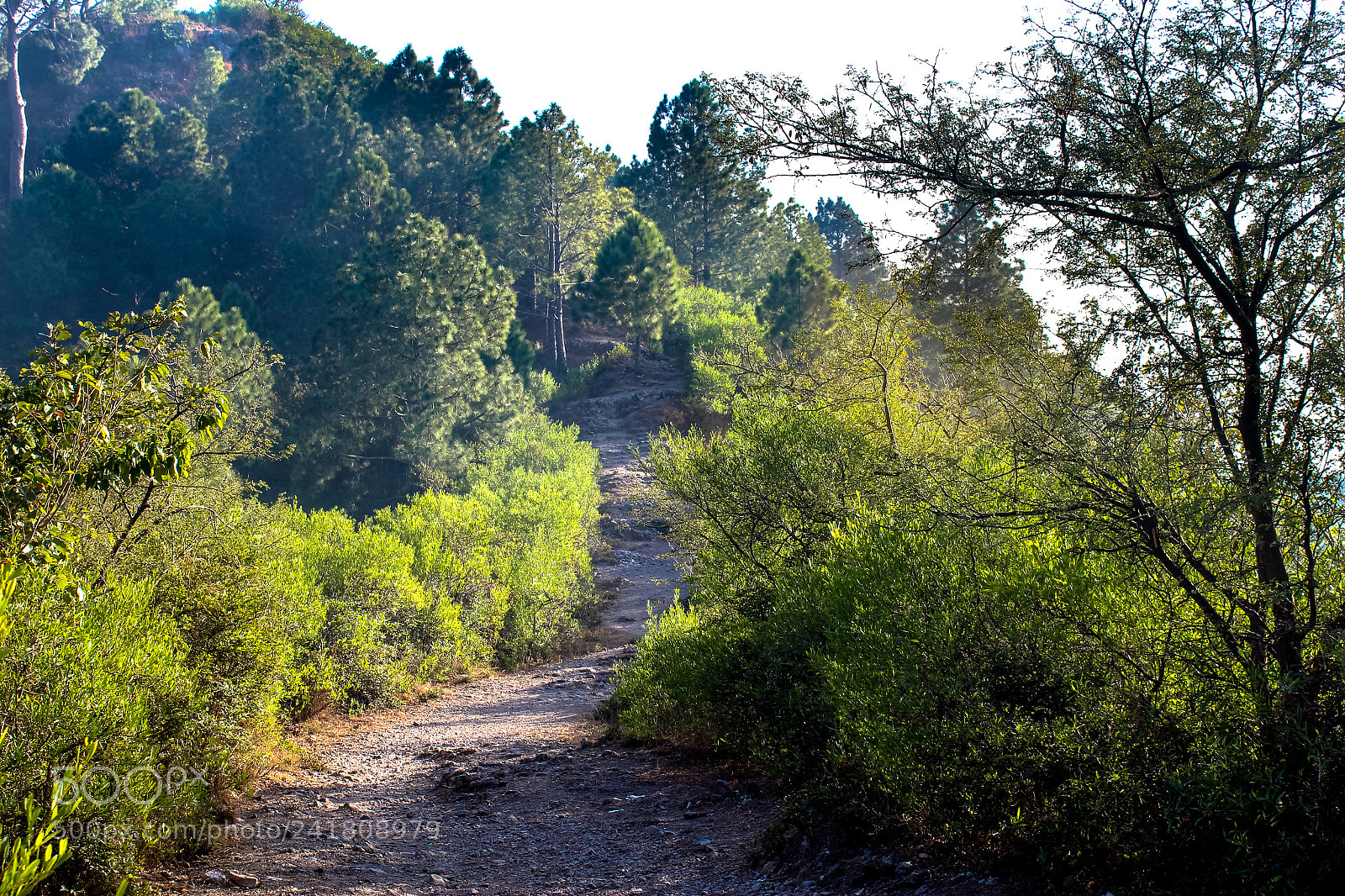 Canon EOS 1200D (EOS Rebel T5 / EOS Kiss X70 / EOS Hi) sample photo. Nature makes its own photography