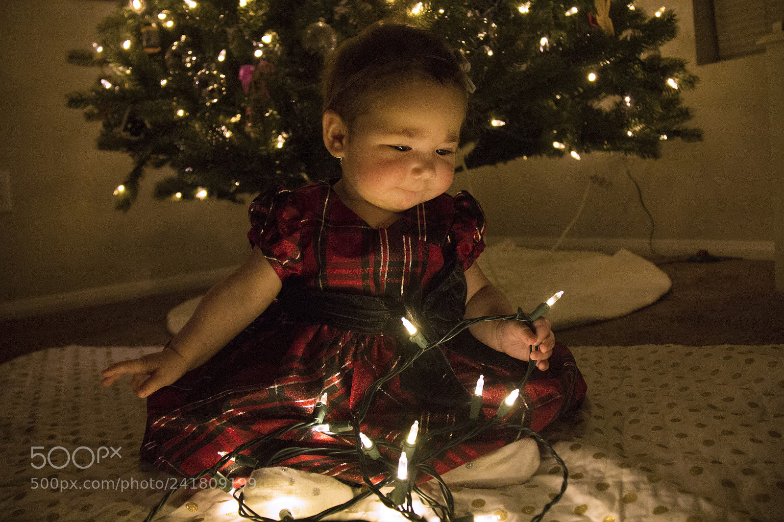 Canon EOS 60D sample photo. Kenley4 photography