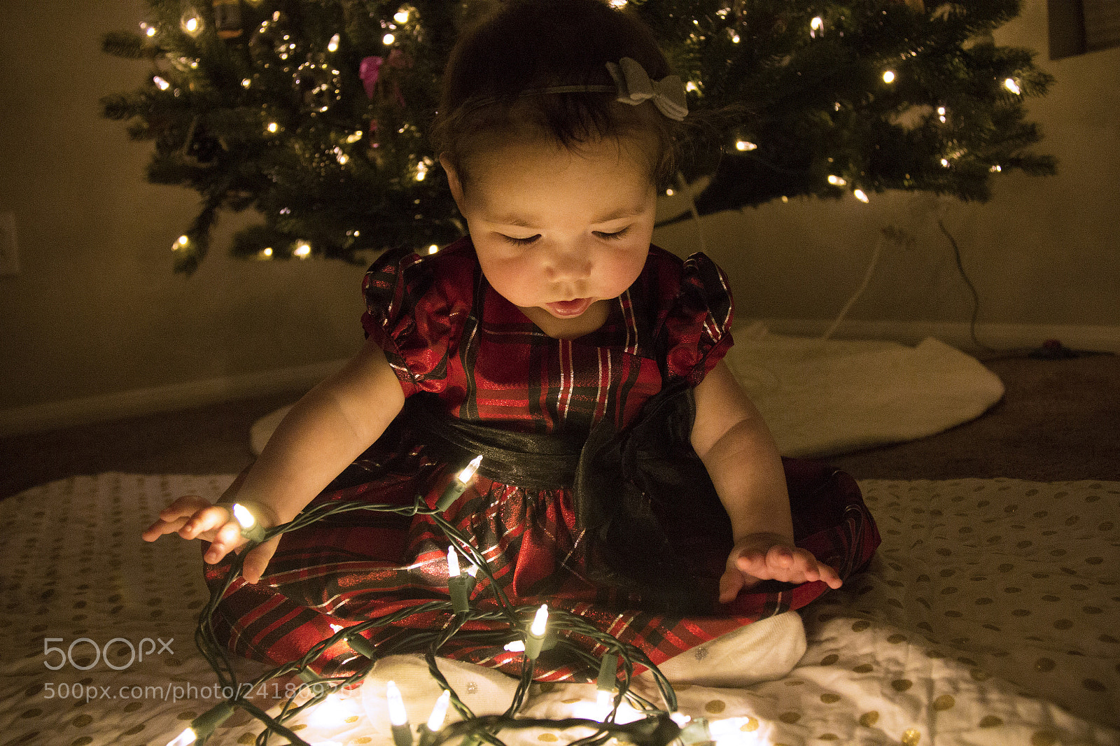 Canon EOS 60D sample photo. Kenley3 photography