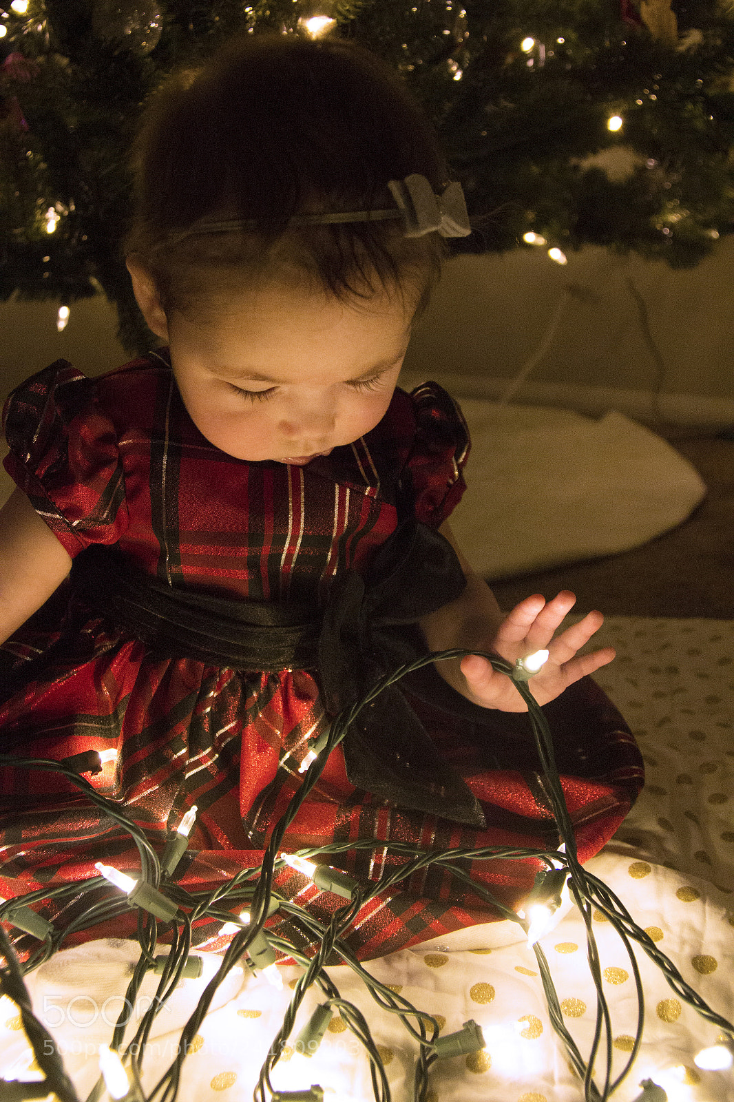 Canon EOS 60D sample photo. Kenley5 photography