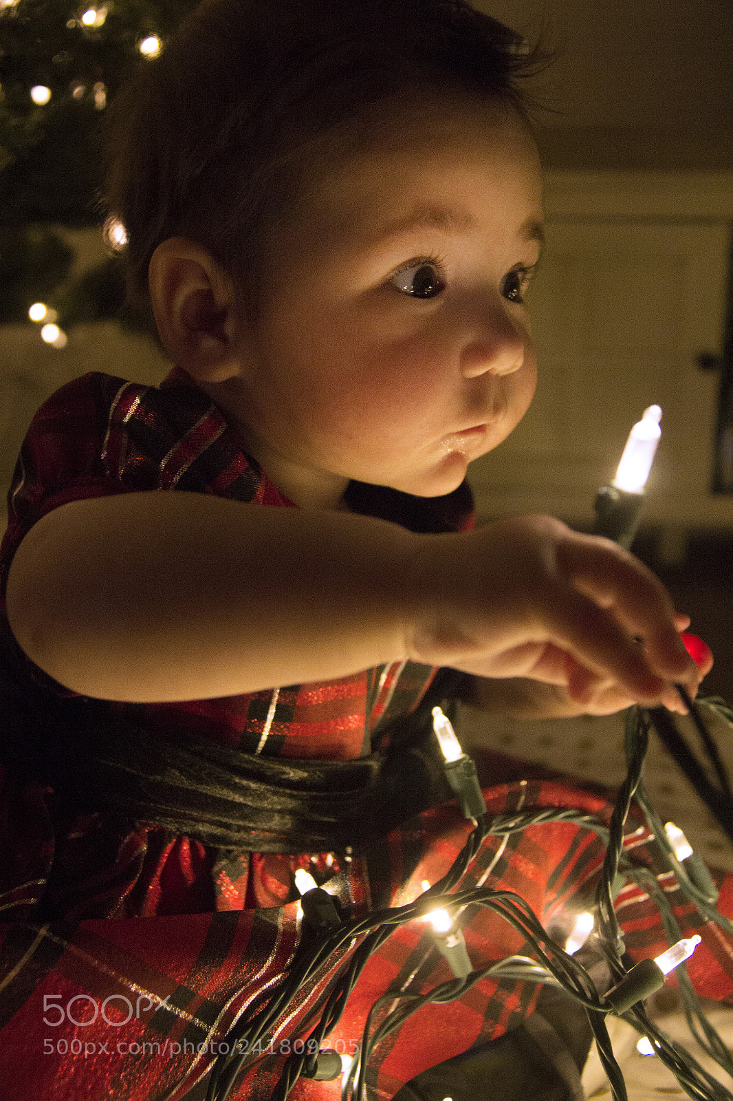 Canon EOS 60D sample photo. Kenley6 photography