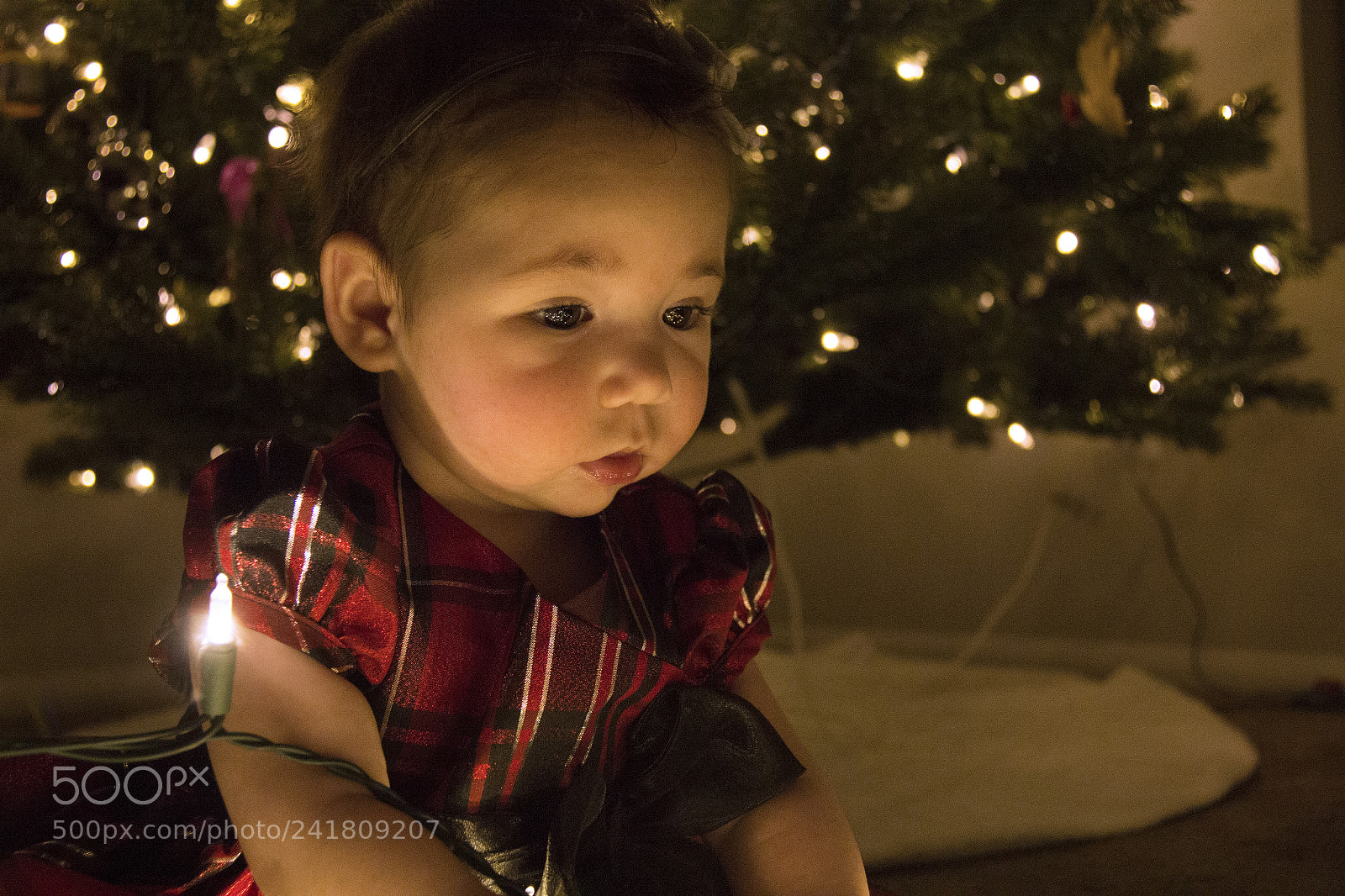 Canon EOS 60D sample photo. Kenley8 photography