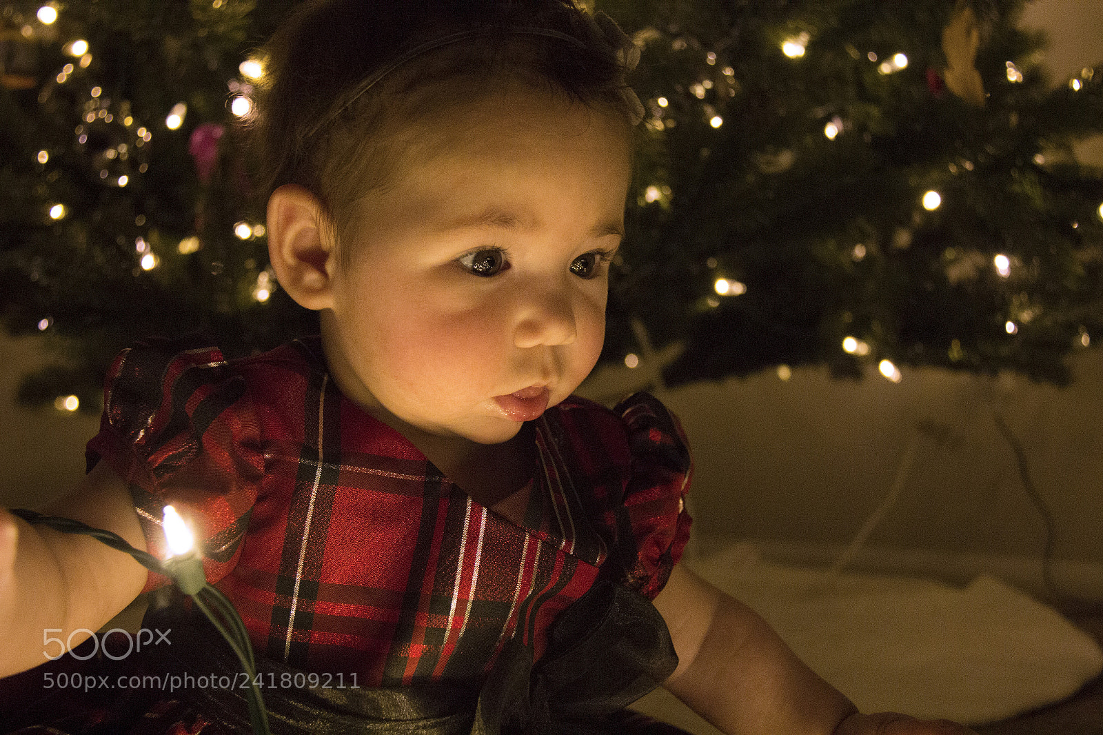 Canon EOS 60D sample photo. Kenley9 photography
