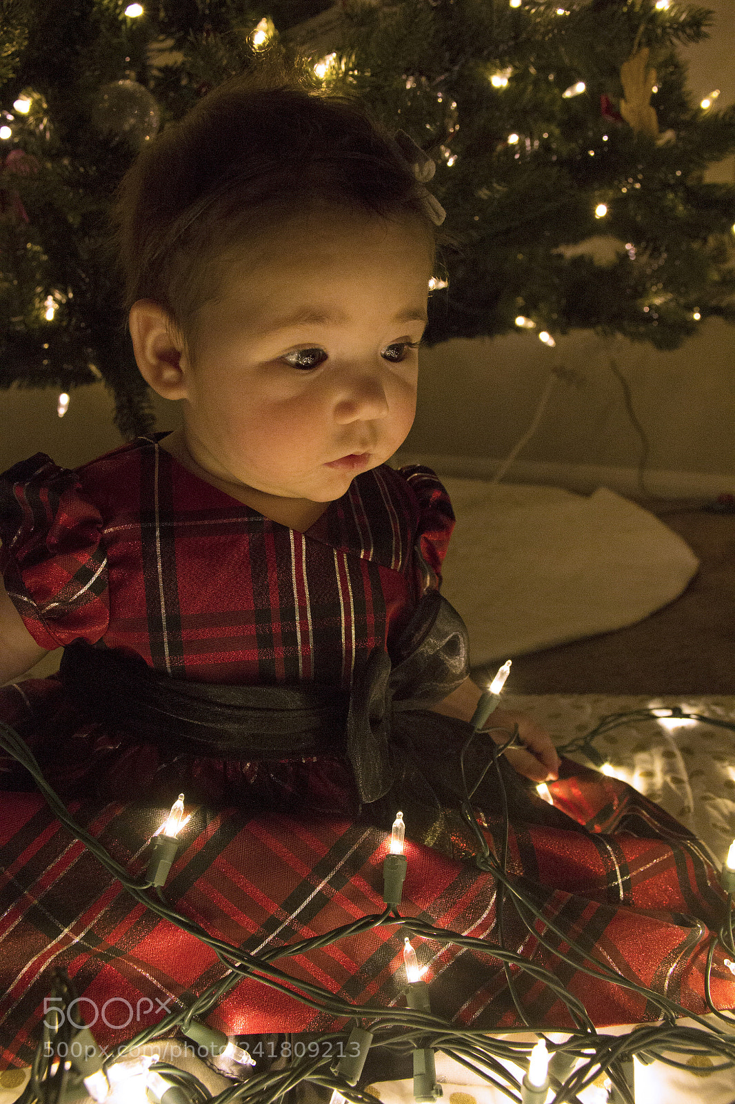 Canon EOS 60D sample photo. Kenley11 photography