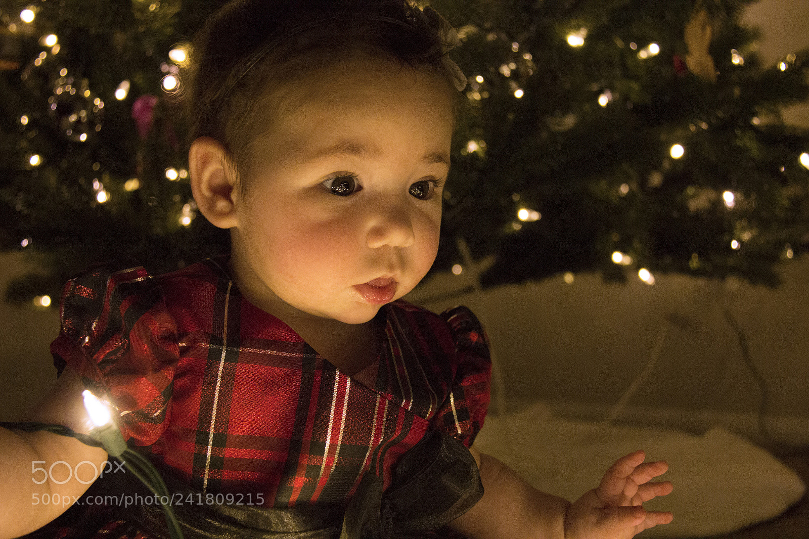 Canon EOS 60D sample photo. Kenley10 photography