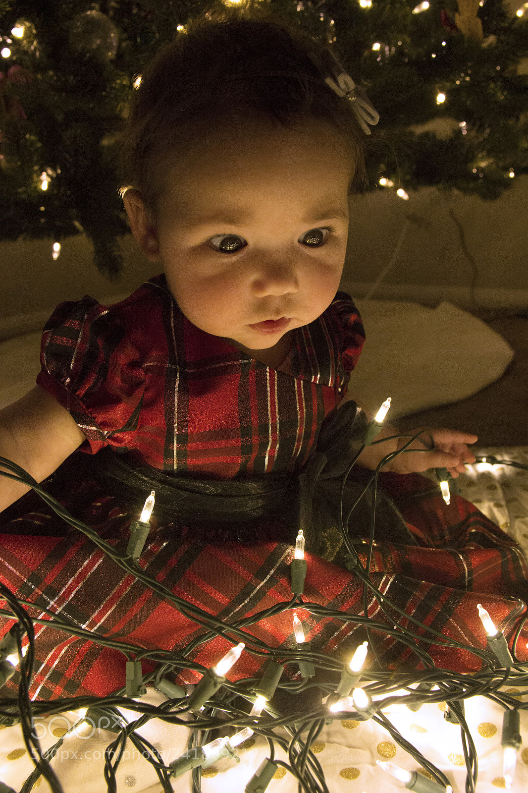 Canon EOS 60D sample photo. Kenley13 photography