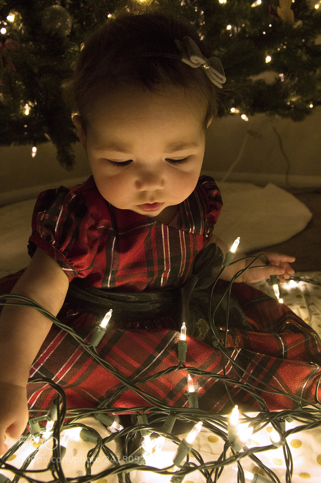 Canon EOS 60D sample photo. Kenley12 photography