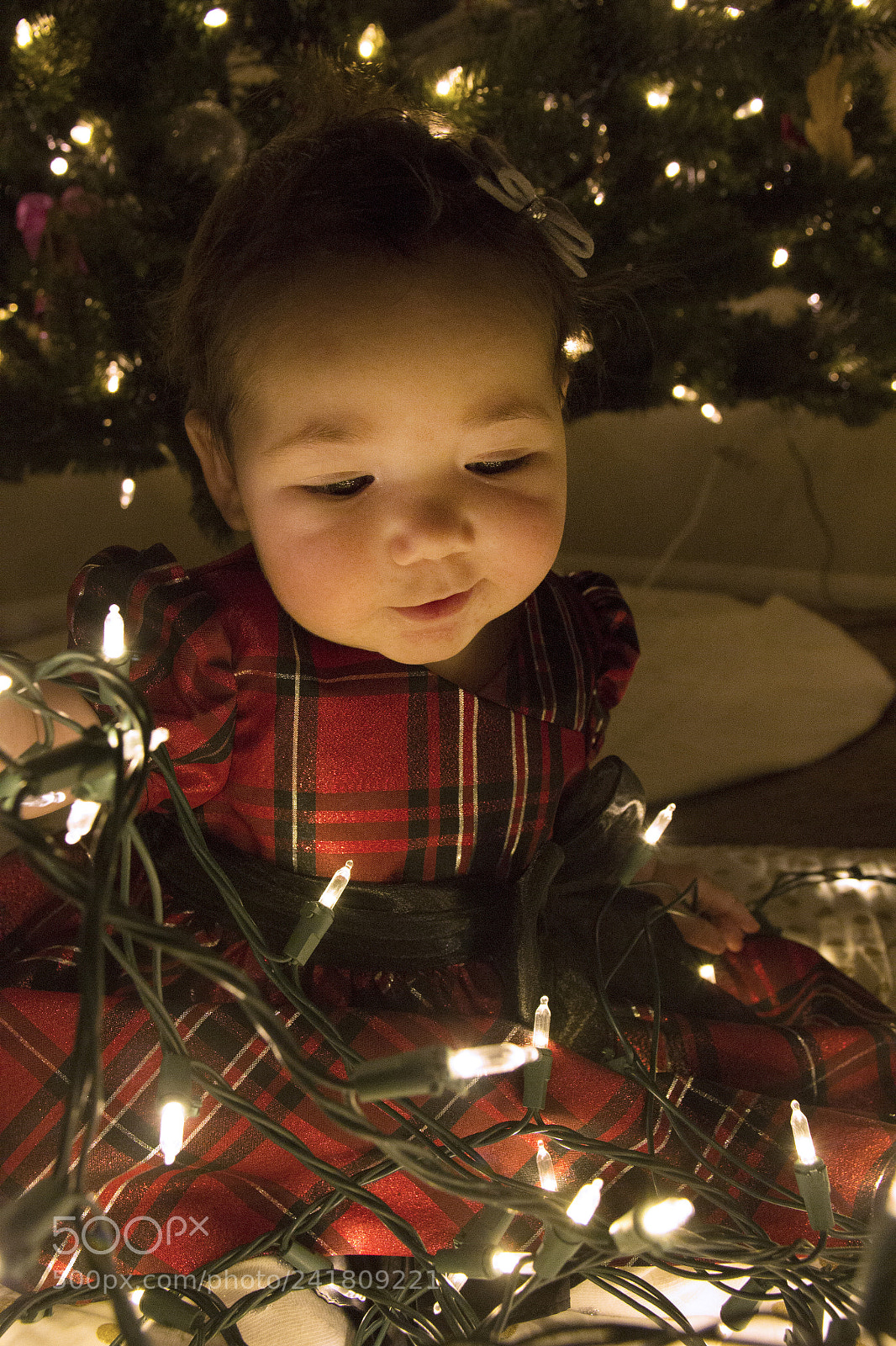 Canon EOS 60D sample photo. Kenley14 photography