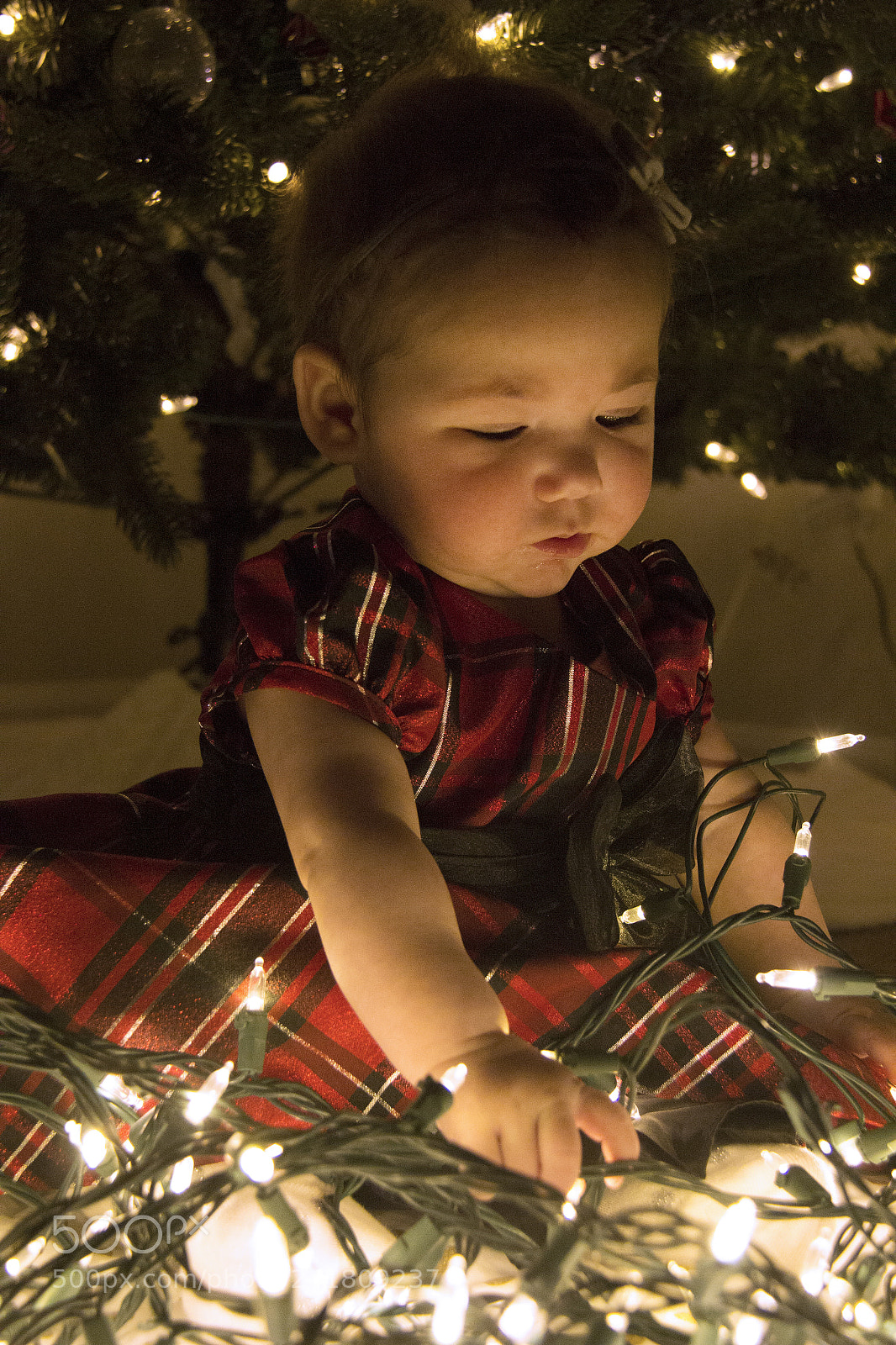 Canon EOS 60D sample photo. Kenley17 photography