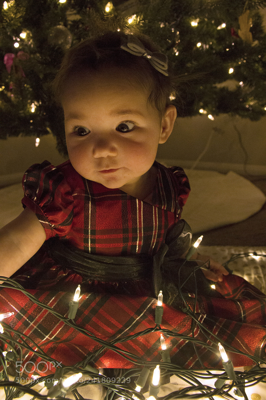 Canon EOS 60D sample photo. Kenley15 photography
