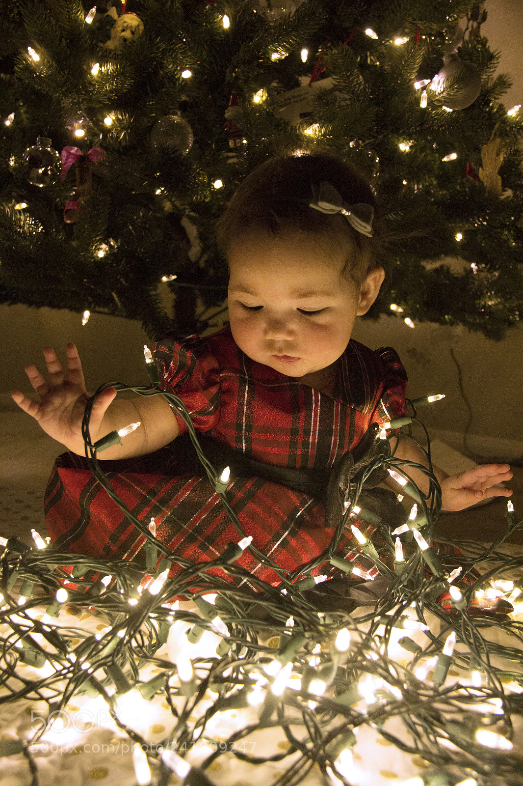 Canon EOS 60D sample photo. Kenley18 photography