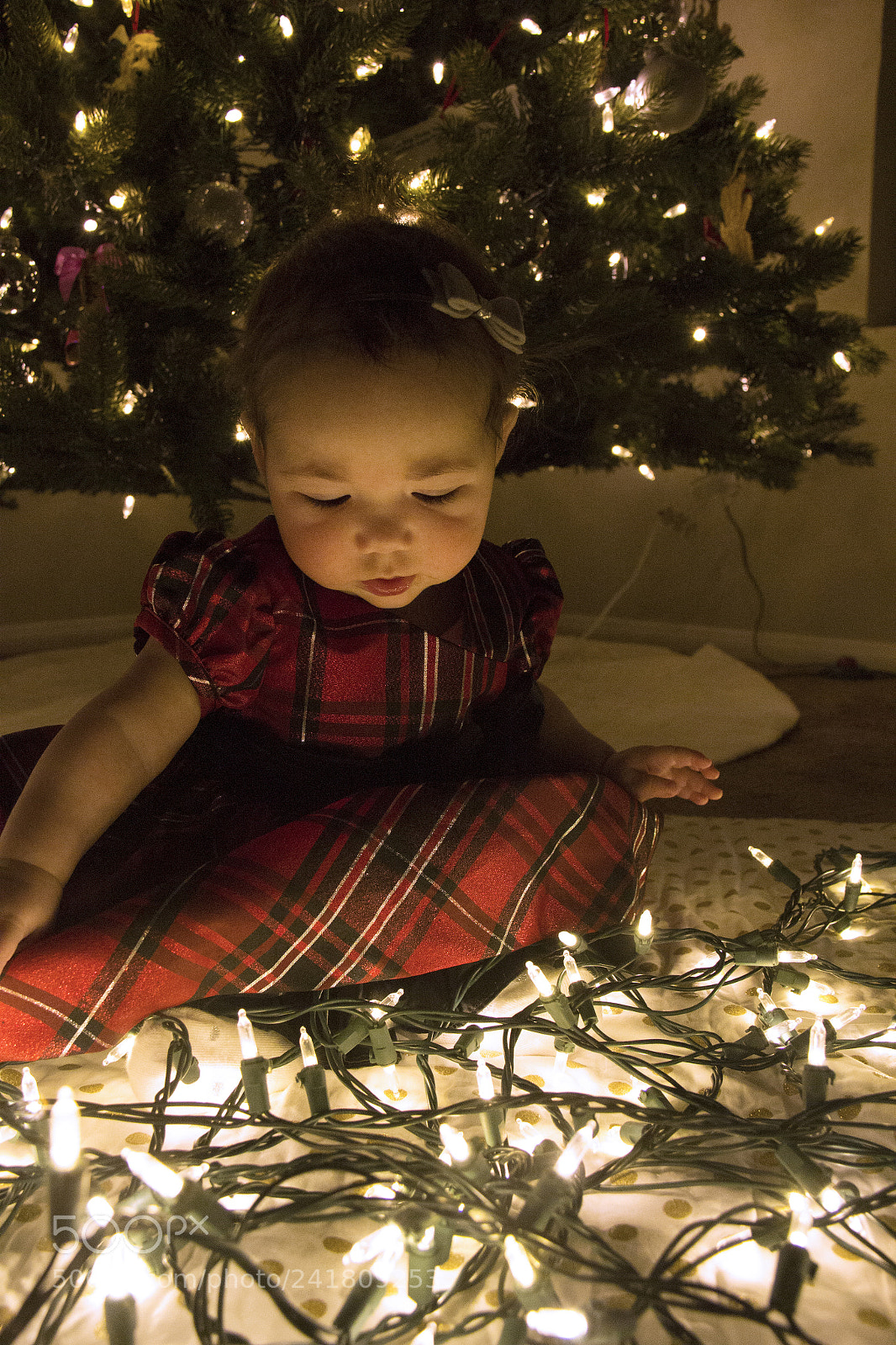 Canon EOS 60D sample photo. Kenley22 photography