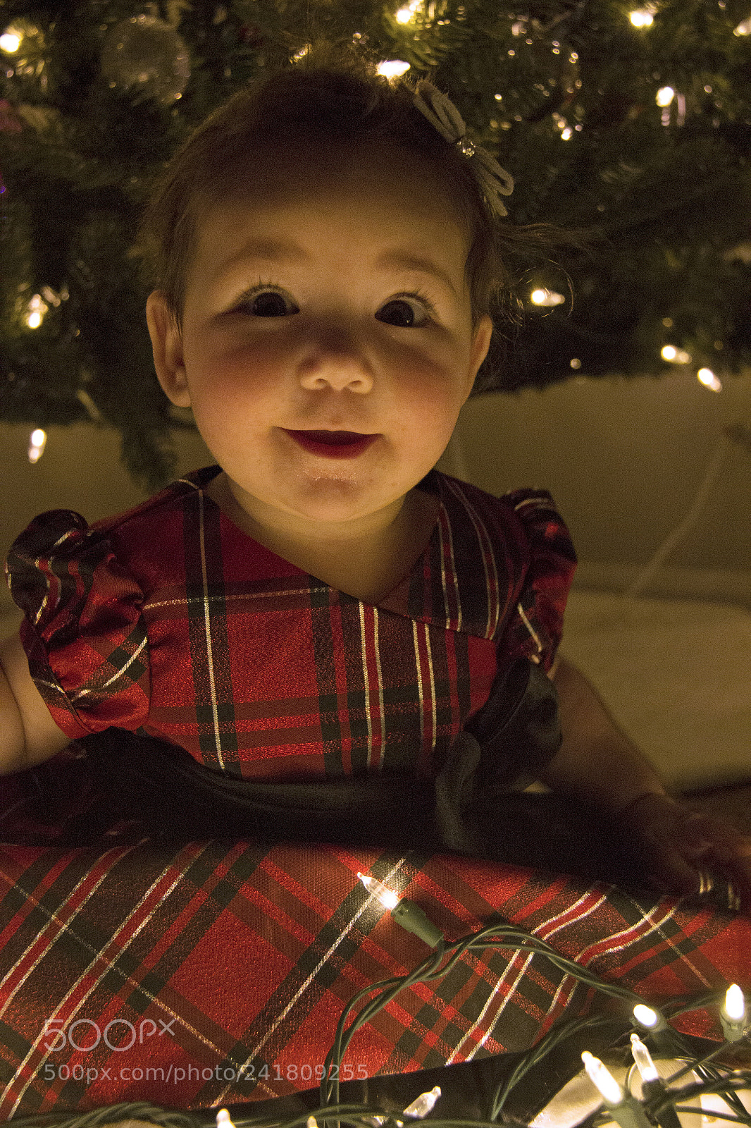 Canon EOS 60D sample photo. Kenley21 photography