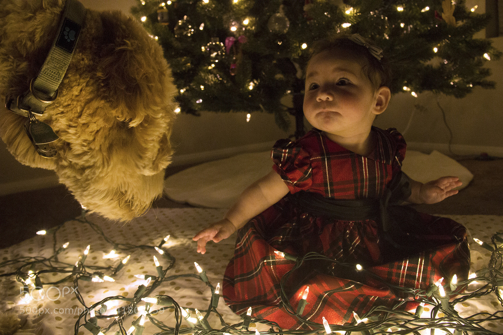 Canon EOS 60D sample photo. Kenley24 photography