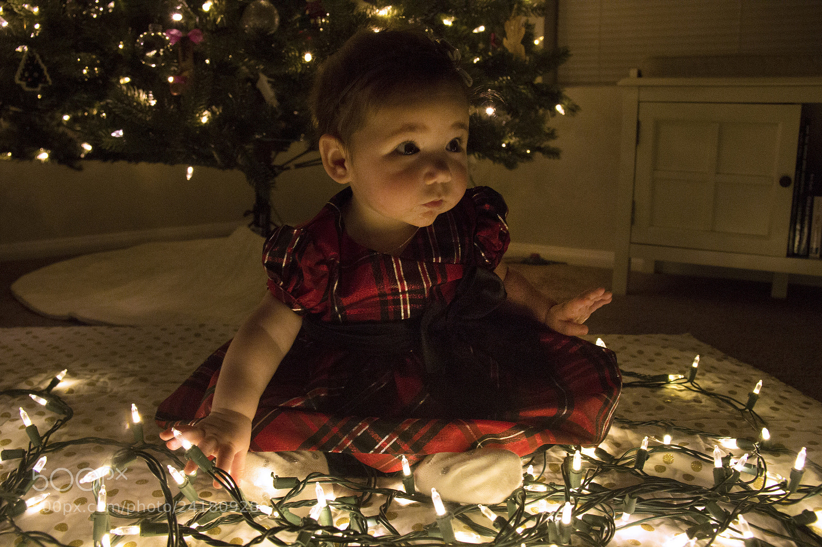 Canon EOS 60D sample photo. Kenley26 photography