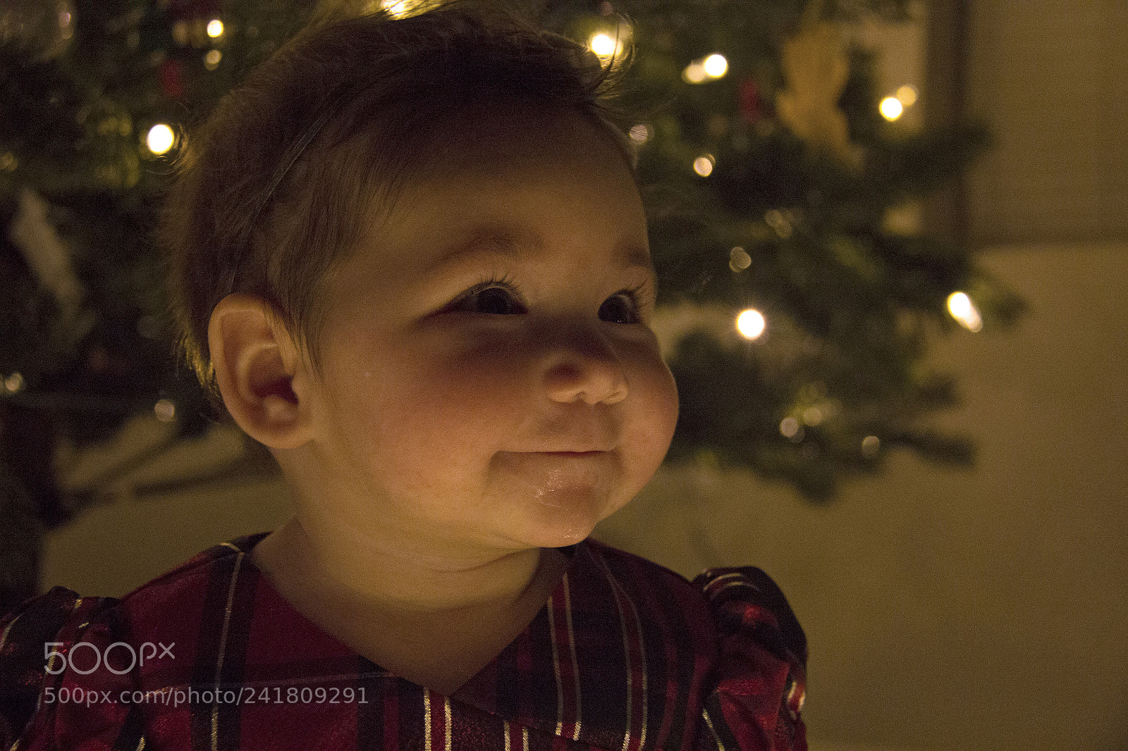 Canon EOS 60D sample photo. Kenley27 photography